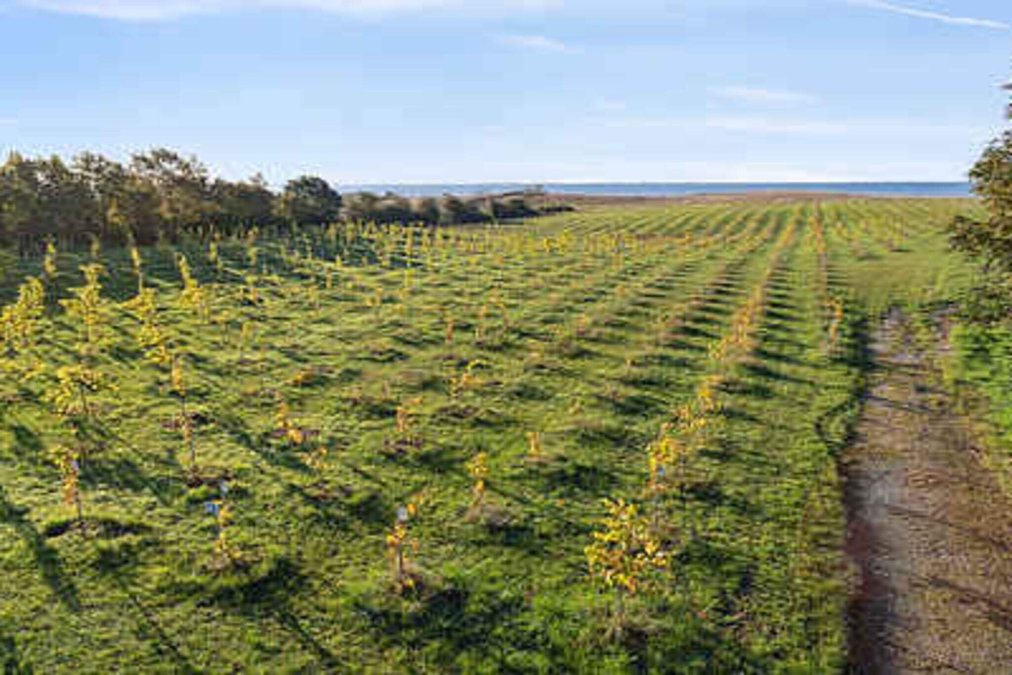 4 sterren vakantie huis in Karrebæksminde-Niet-getagd