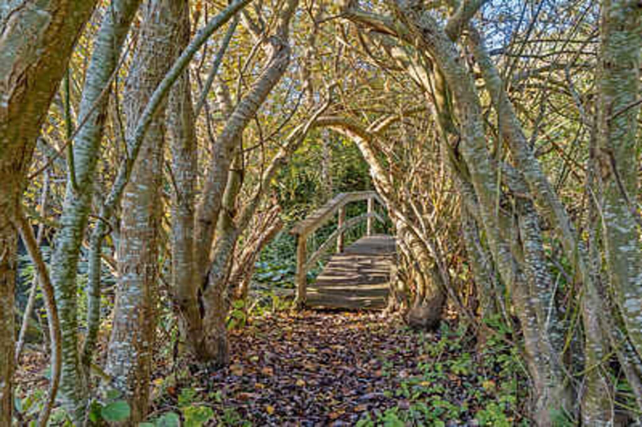 4 sterren vakantie huis in Karrebæksminde-Niet-getagd