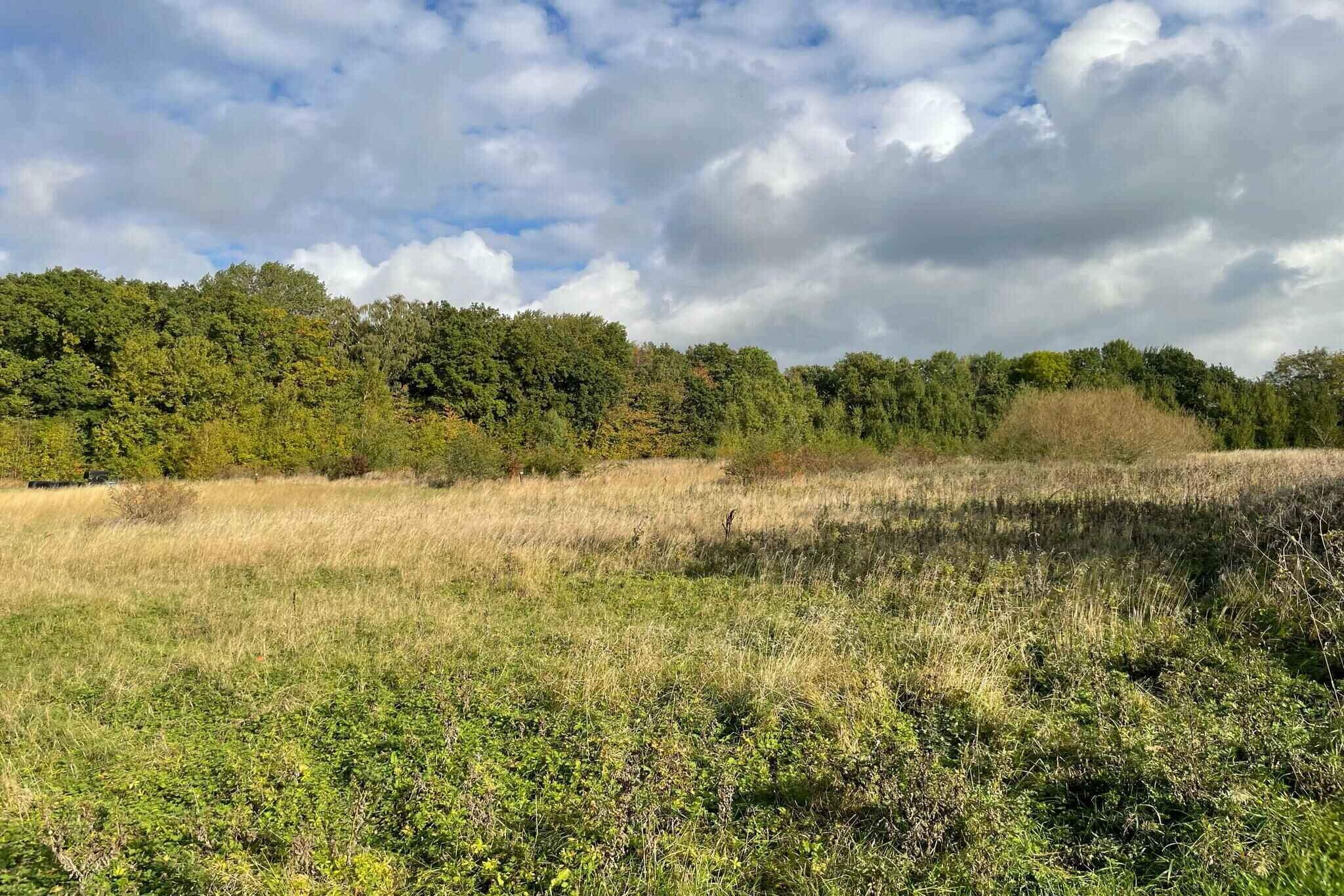 4 sterren vakantie huis in Rønne