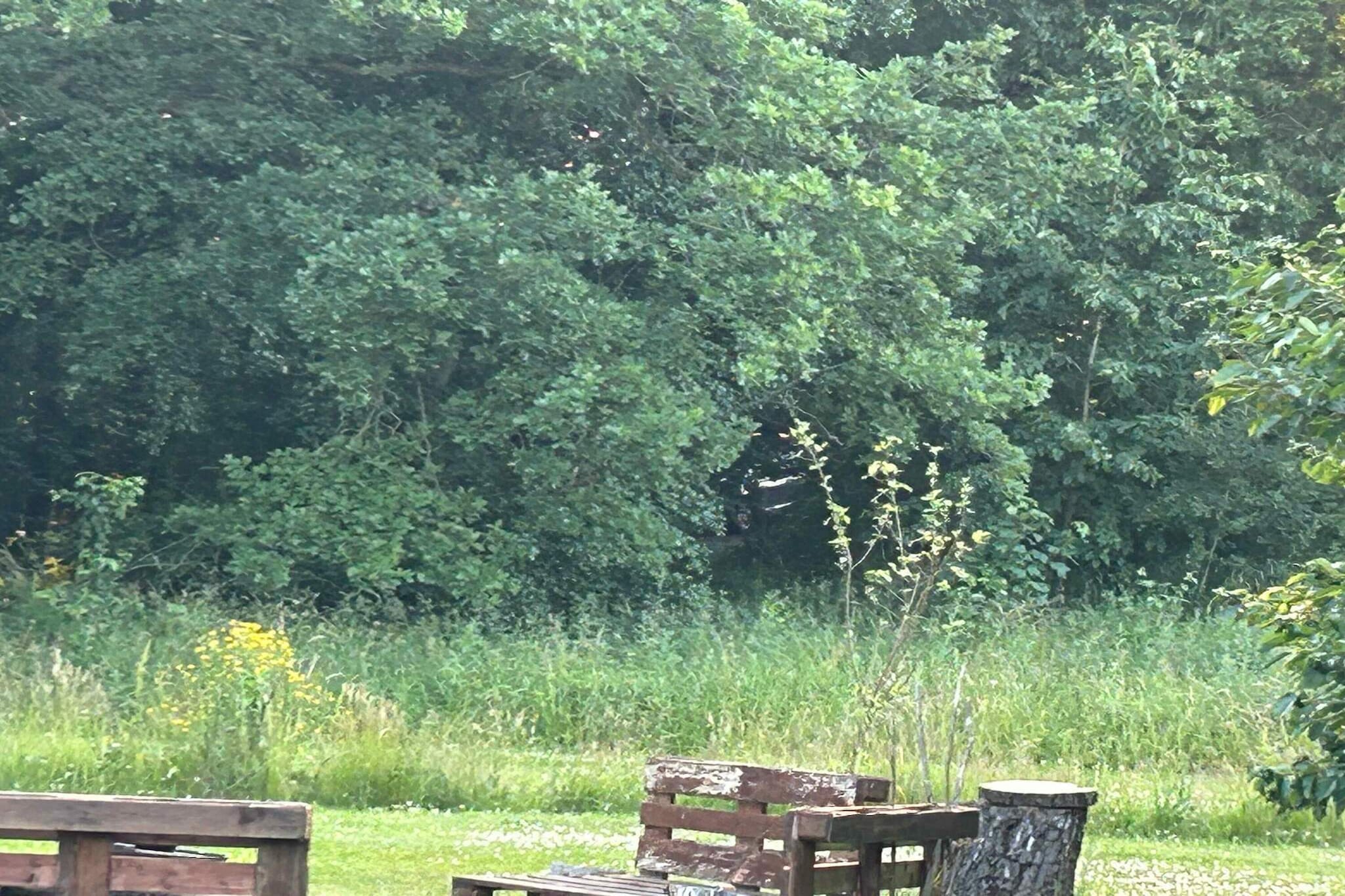 4 sterren vakantie huis in Rønne