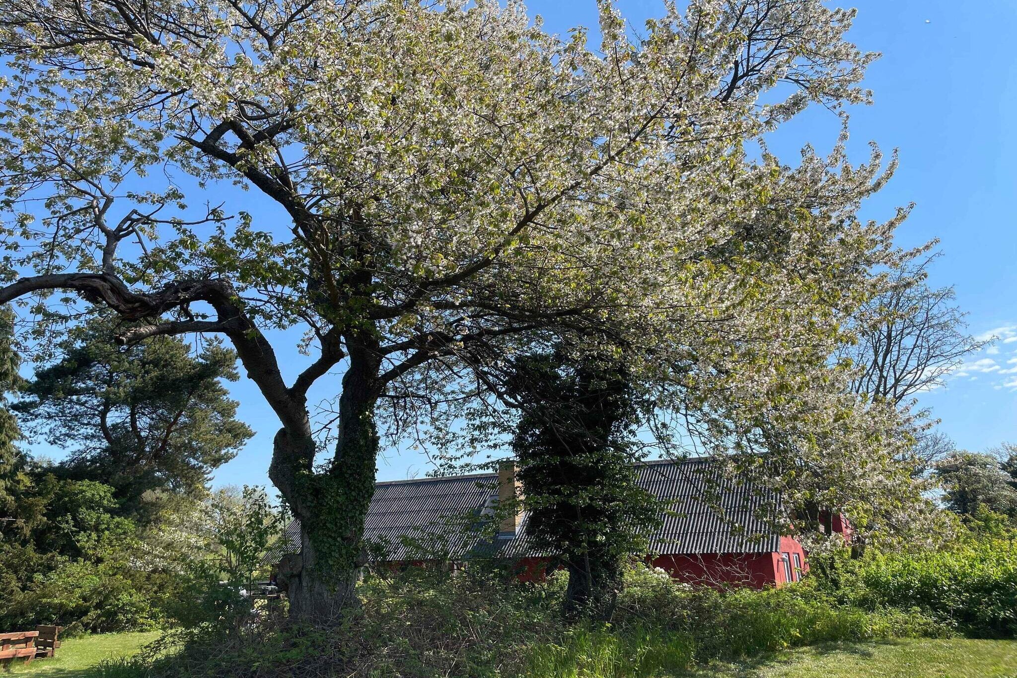 4 sterren vakantie huis in Rønne-Buitenlucht