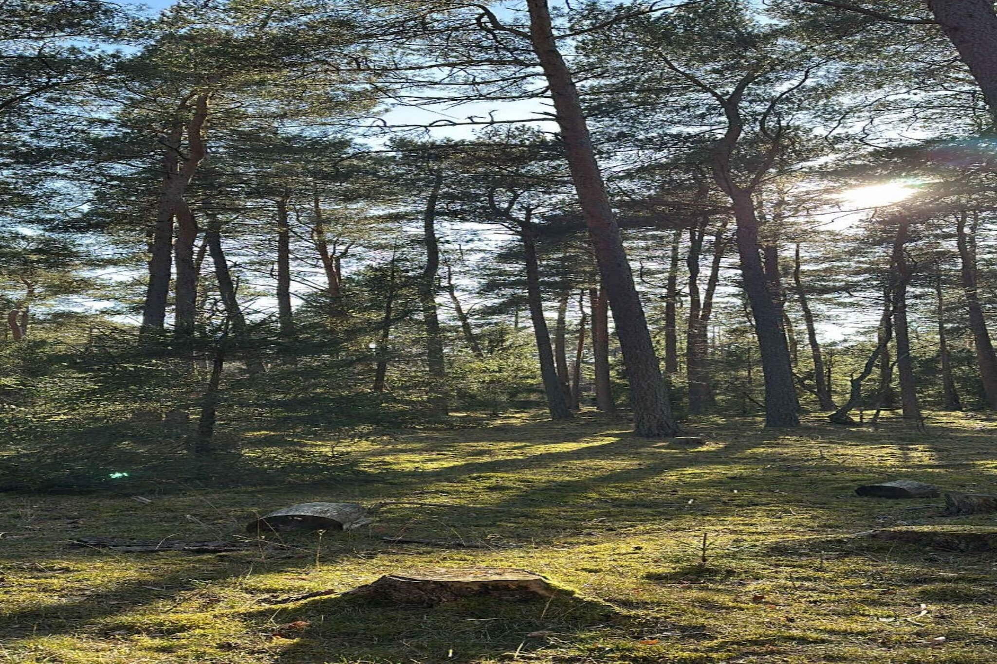 4 sterren vakantie huis in Frederiksværk