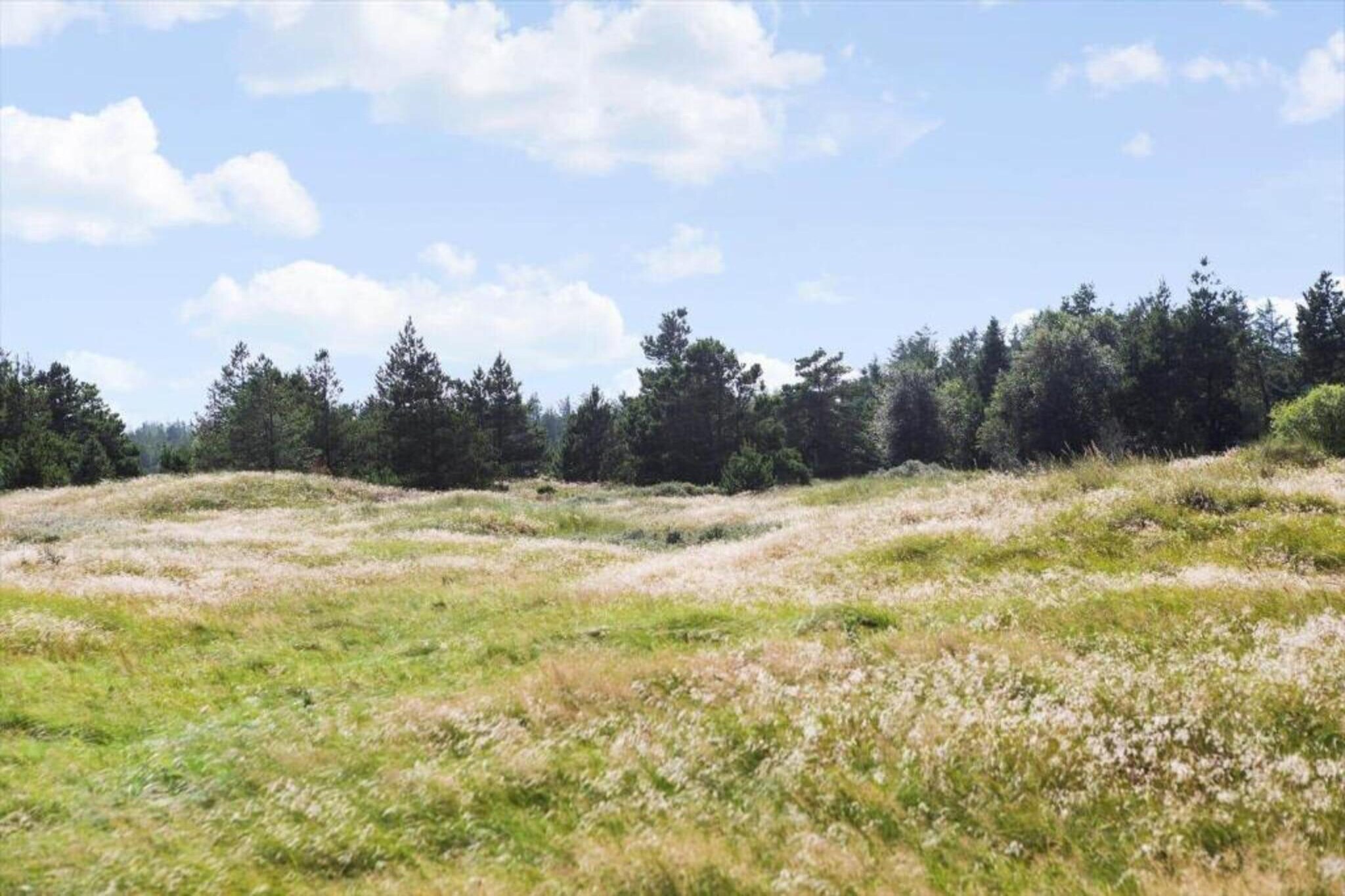Area Summer5 K M