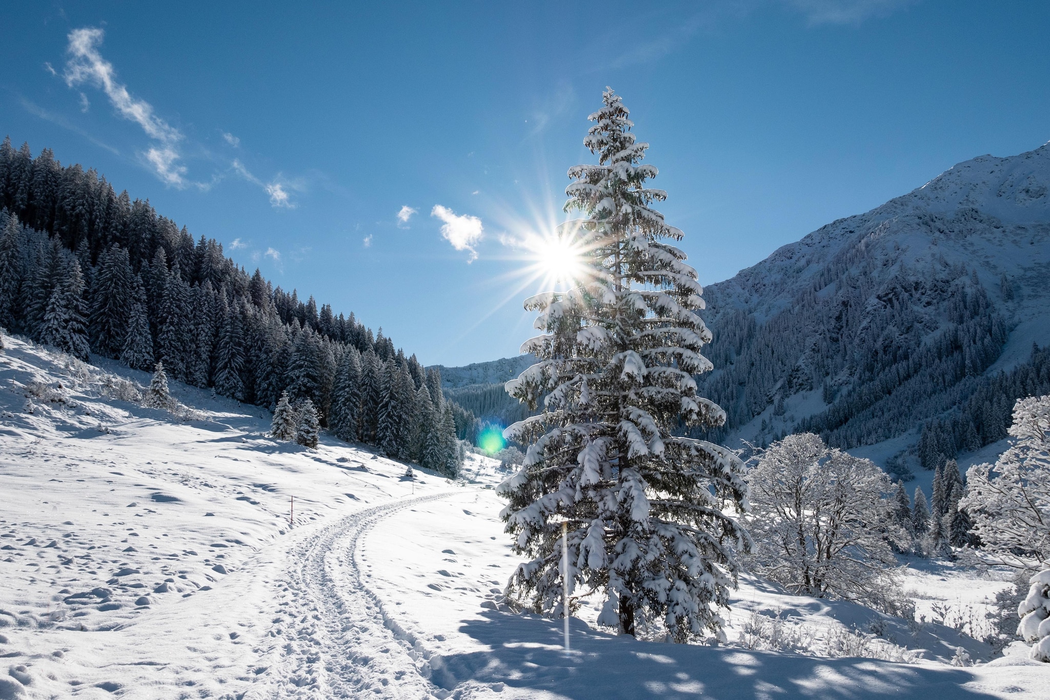 Top 4-Gebied winter 5km
