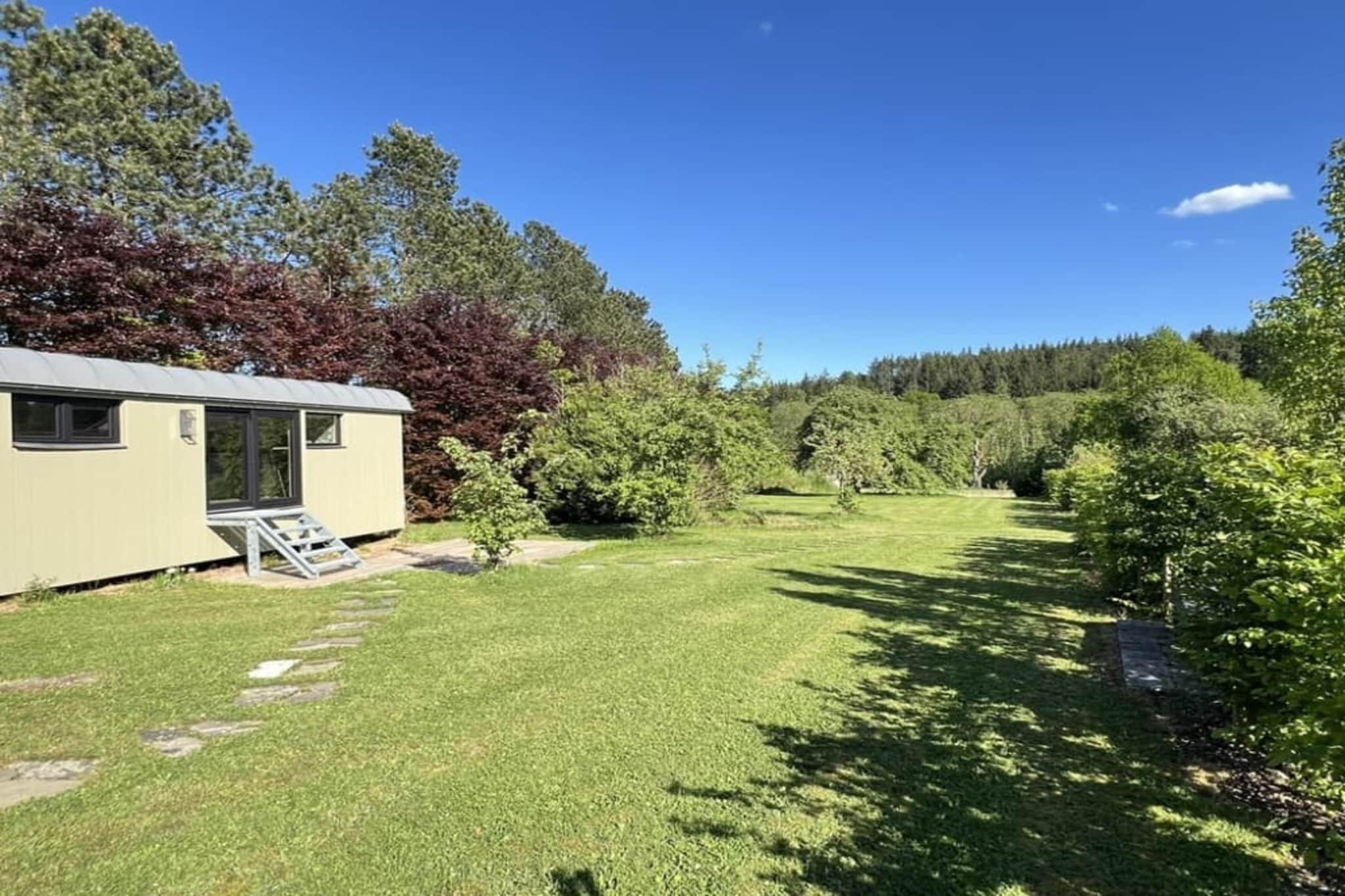 Pine Tree Tiny Cottage-Tuinen zomer