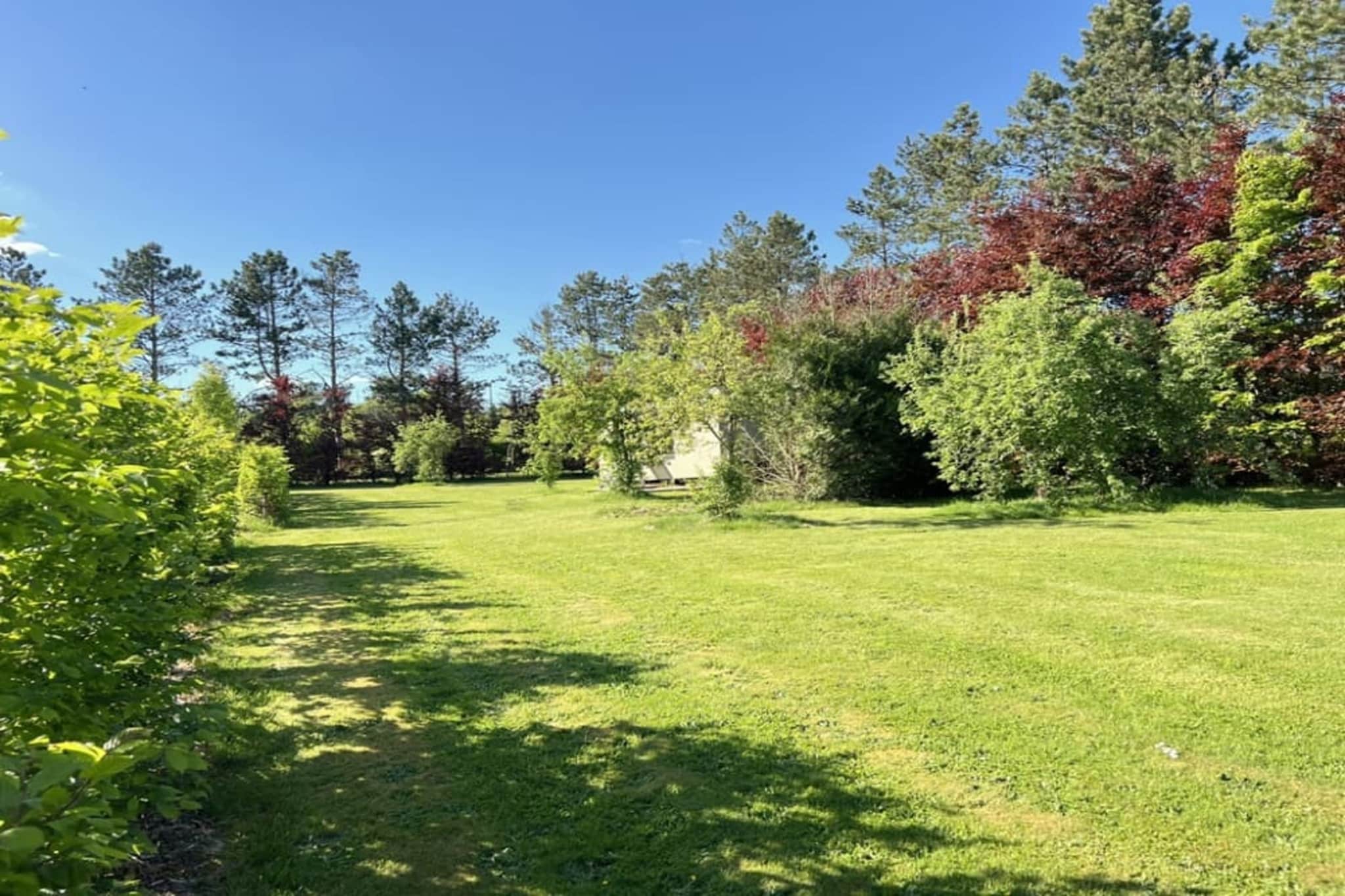 Pine Tree Tiny Cottage-Tuinen zomer