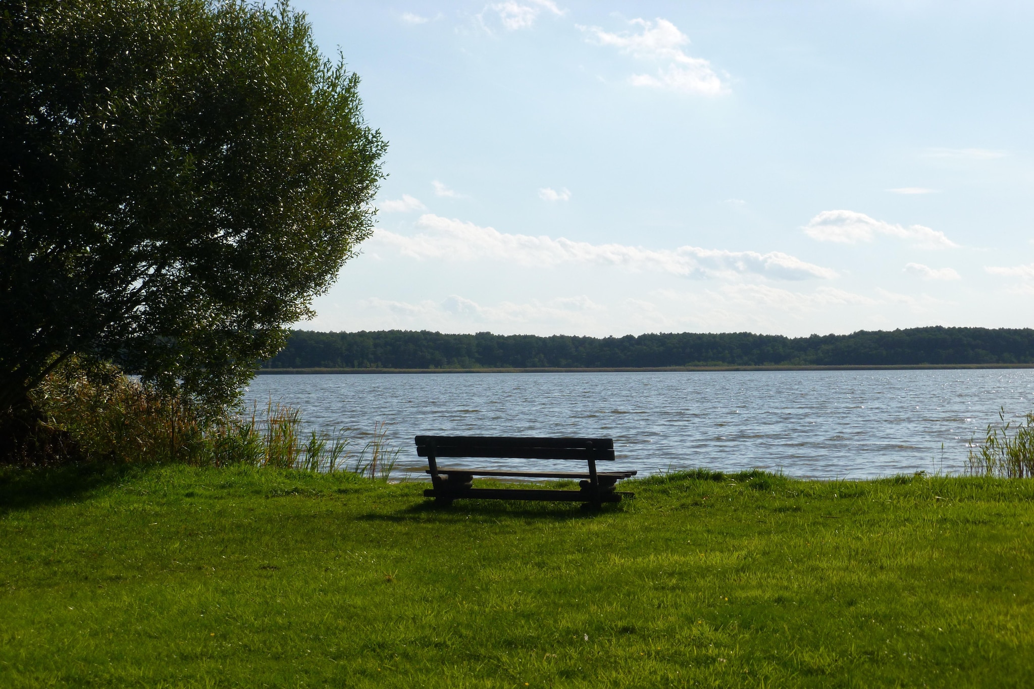 Ferienhaus 4 Elemente-Gebieden zomer 5km