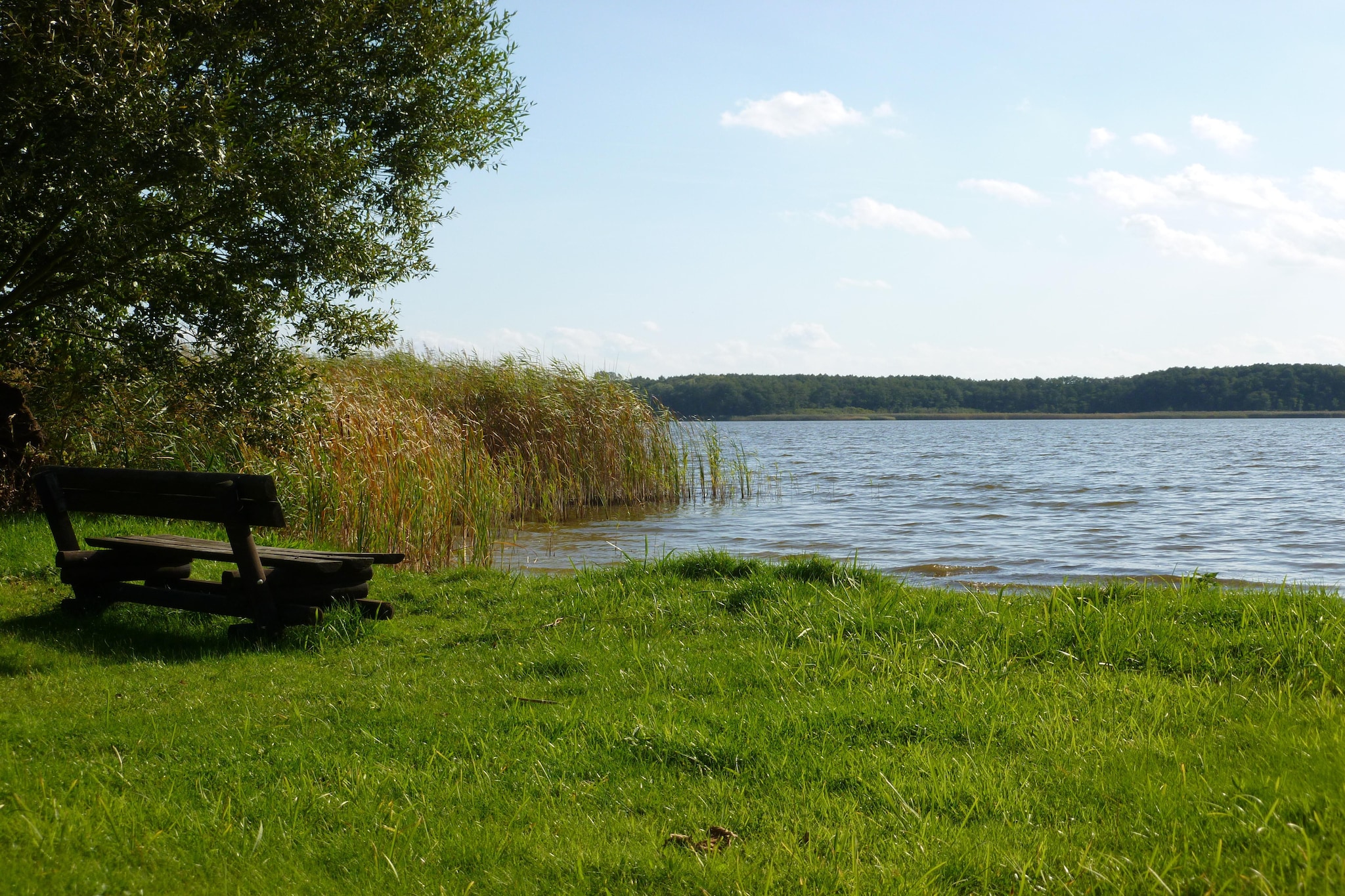 Ferienhaus 4 Elemente-Gebieden zomer 5km