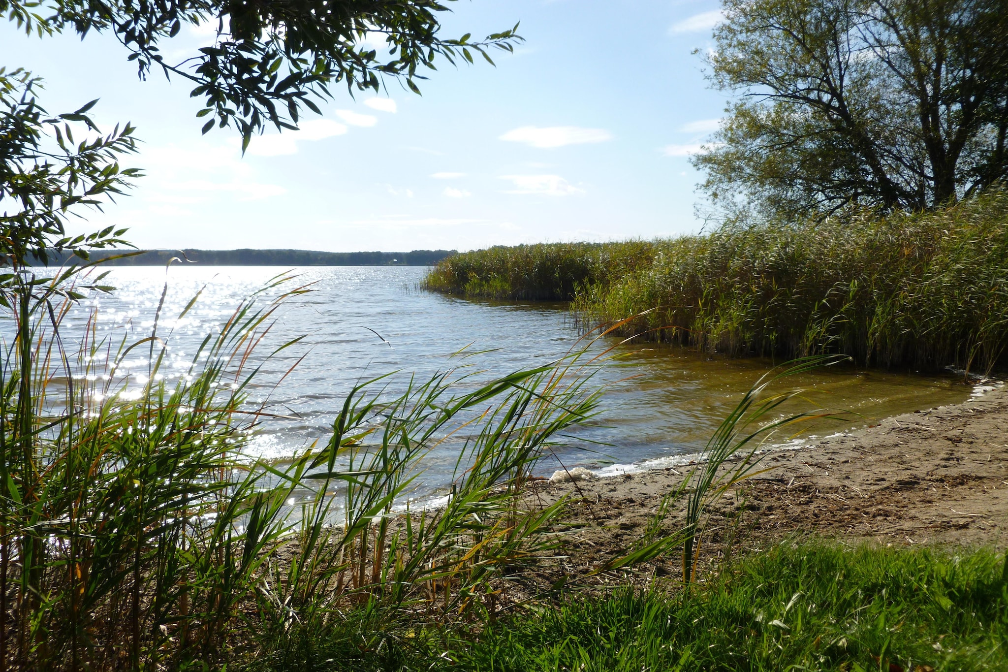 Ferienhaus 4 Elemente-Gebieden zomer 5km