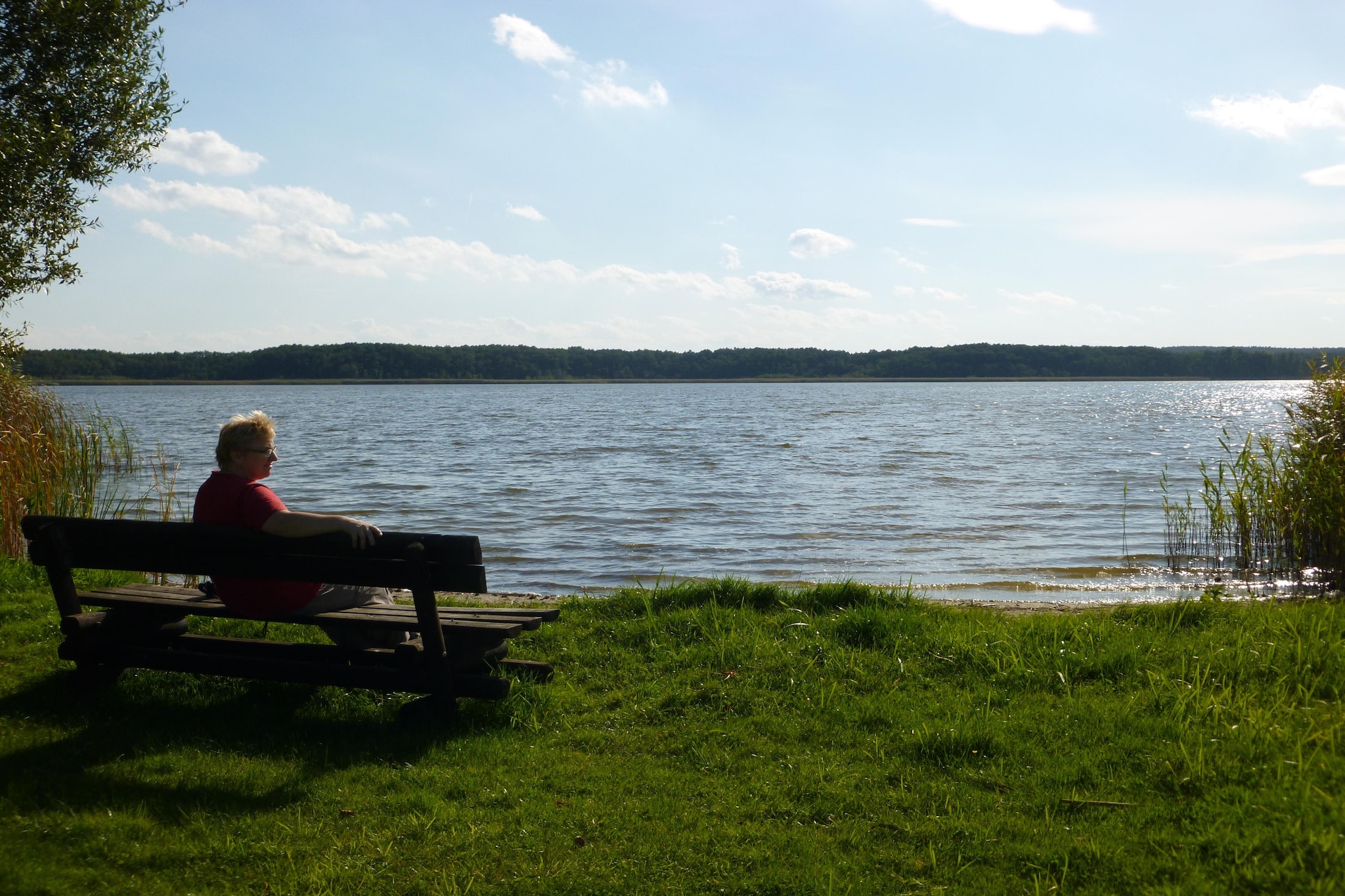 Ferienhaus 4 Elemente-Gebieden zomer 5km