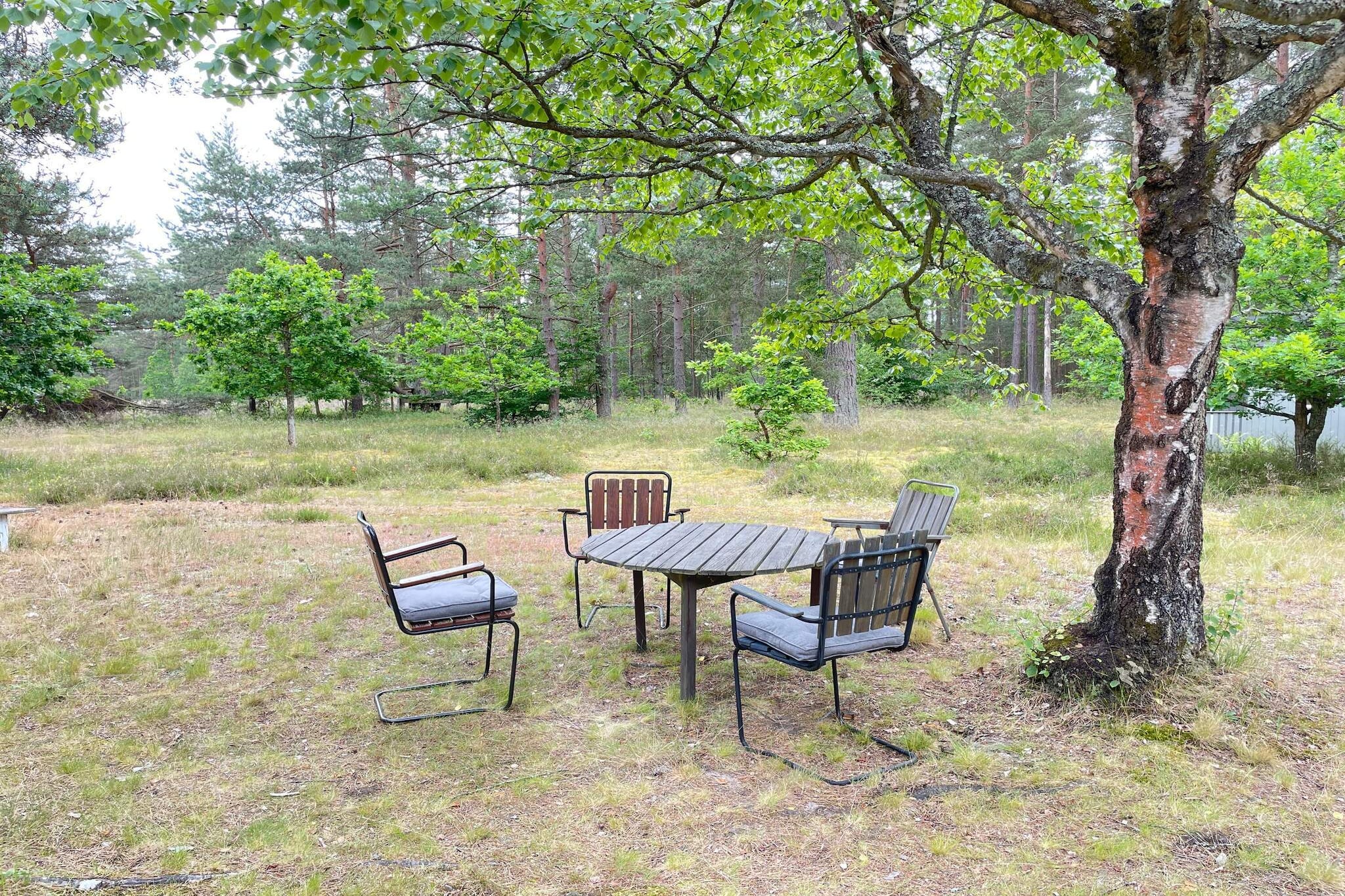4 person holiday home in DEGEBERGA-Indoor