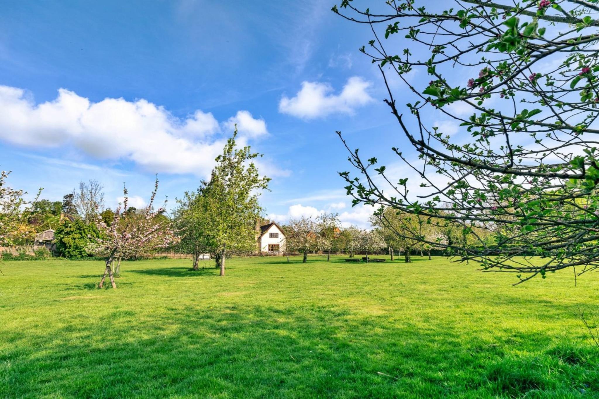 Windfall Cottage - Gebieden zomer 1km