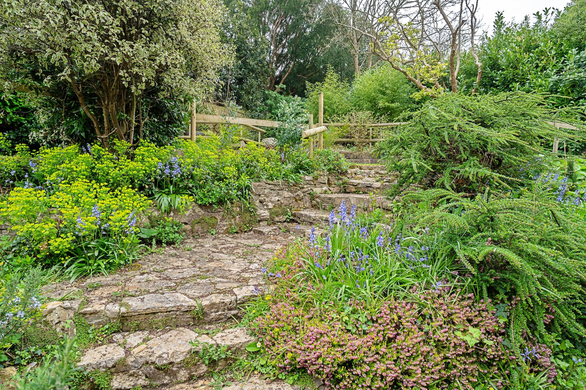 Heselwood - Gardens in summer