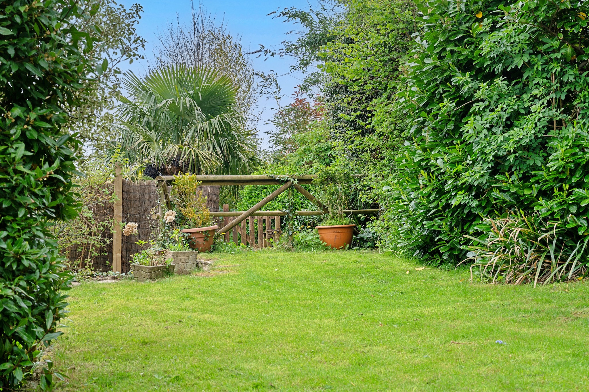 Heselwood - Gardens in summer