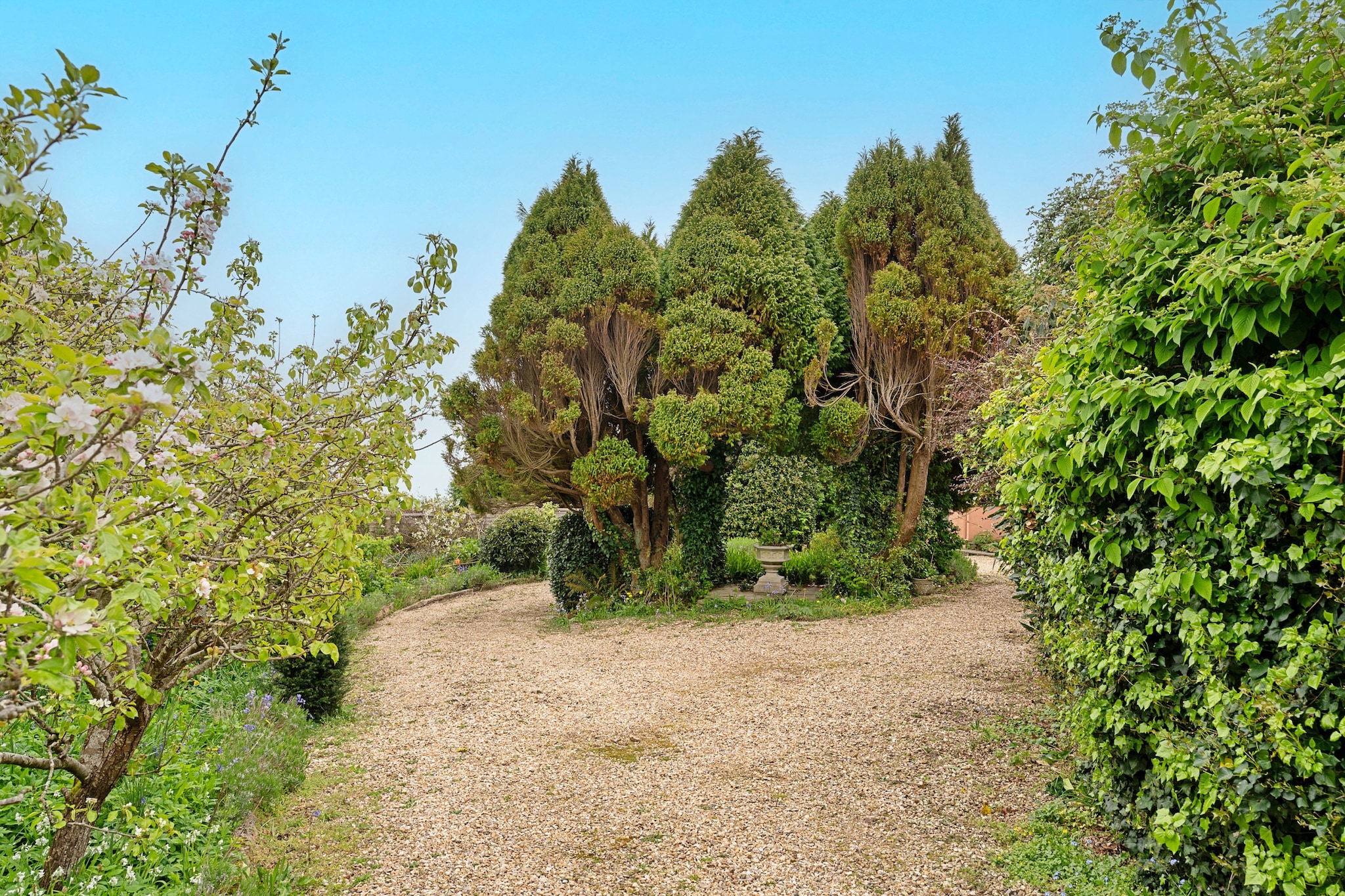 Heselwood - Gardens in summer