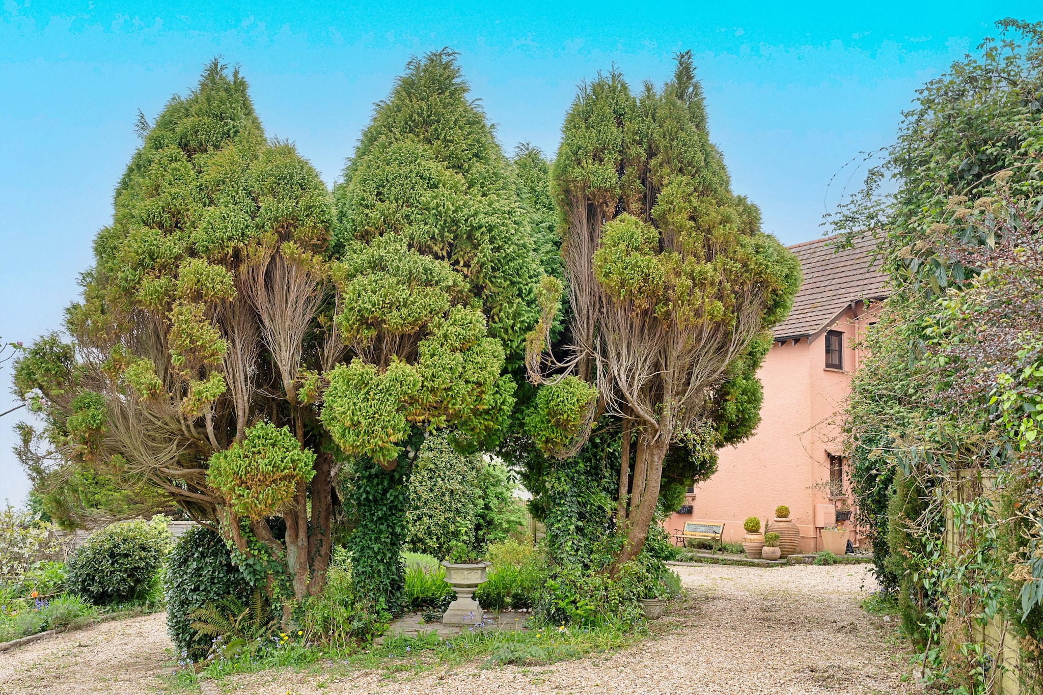 Heselwood - Gardens in summer