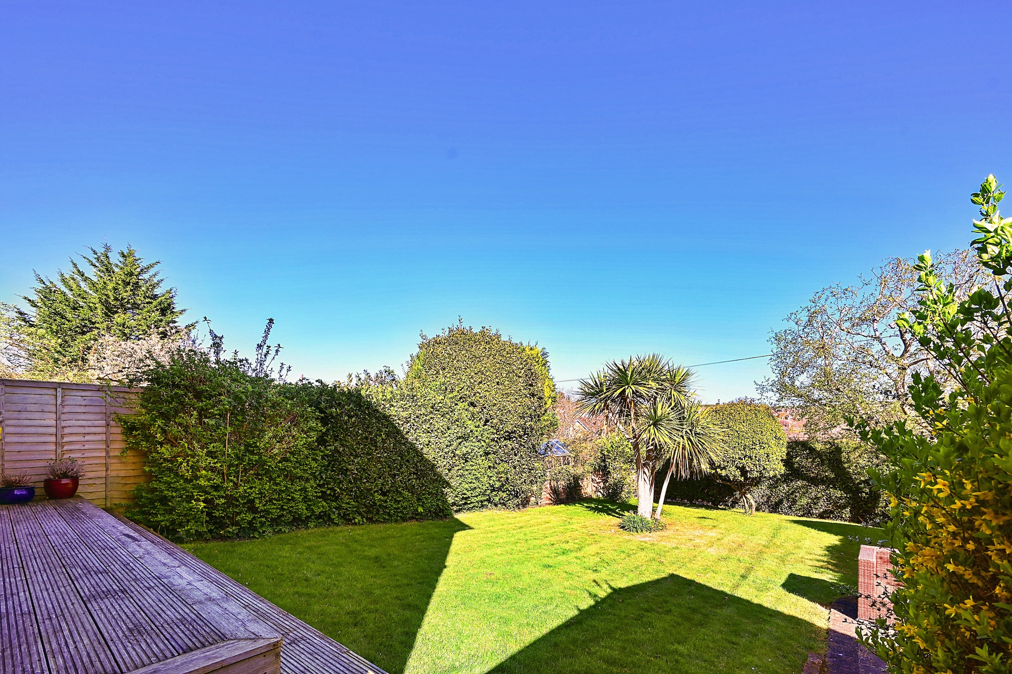 19, South Way - Gardens in summer