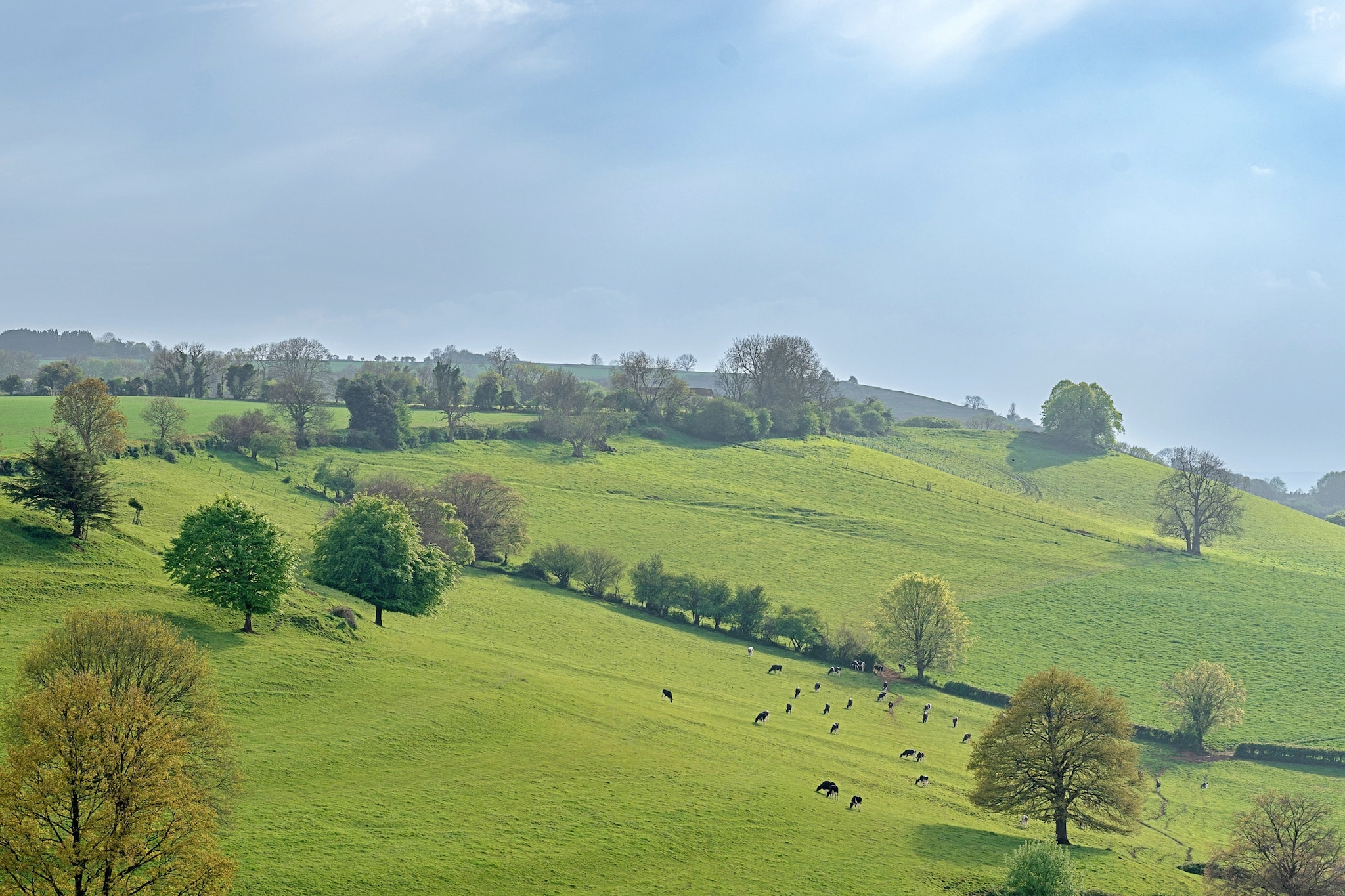 Greenhills Cottage - Areas within 5km in summer