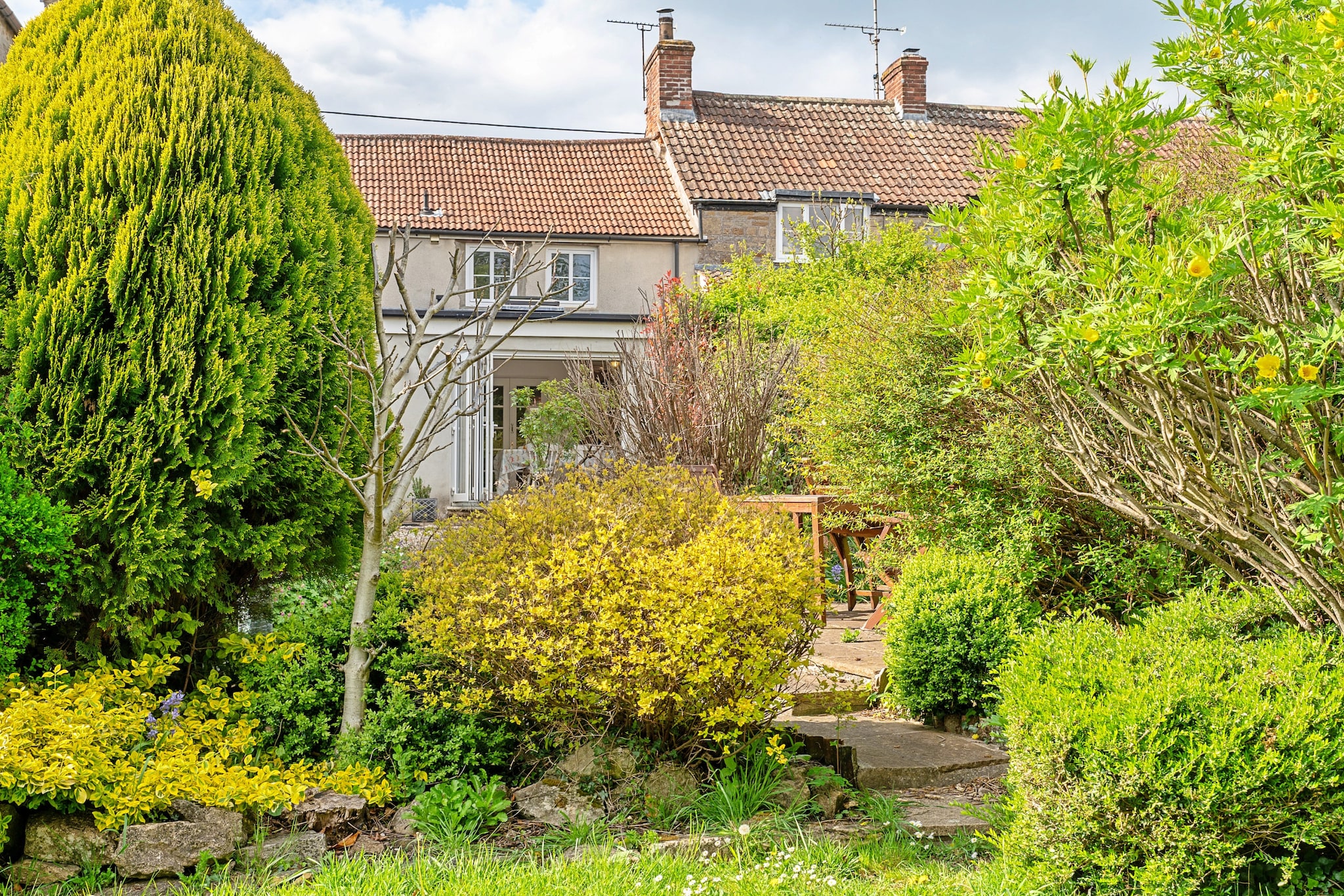 Greenhills Cottage - Gardens in summer