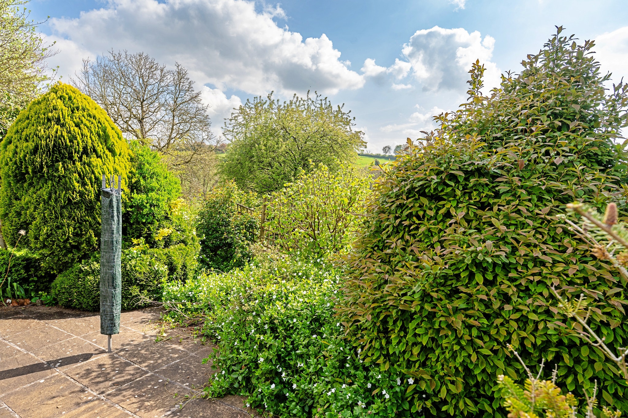 Greenhills Cottage - Gardens in summer