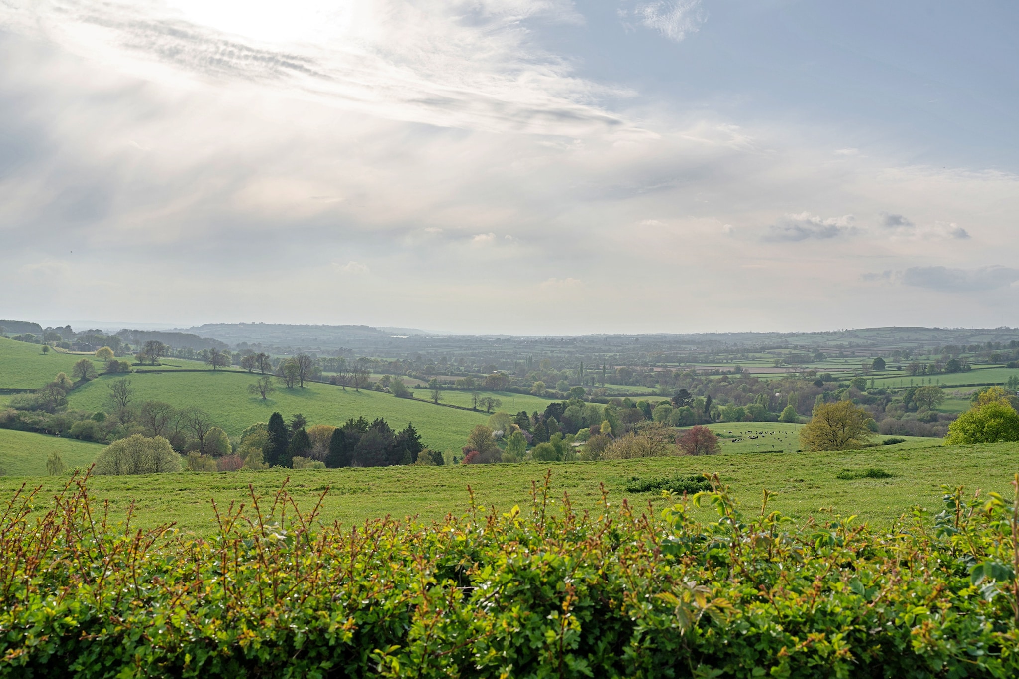 Greenhills Cottage - Areas within 5km in summer