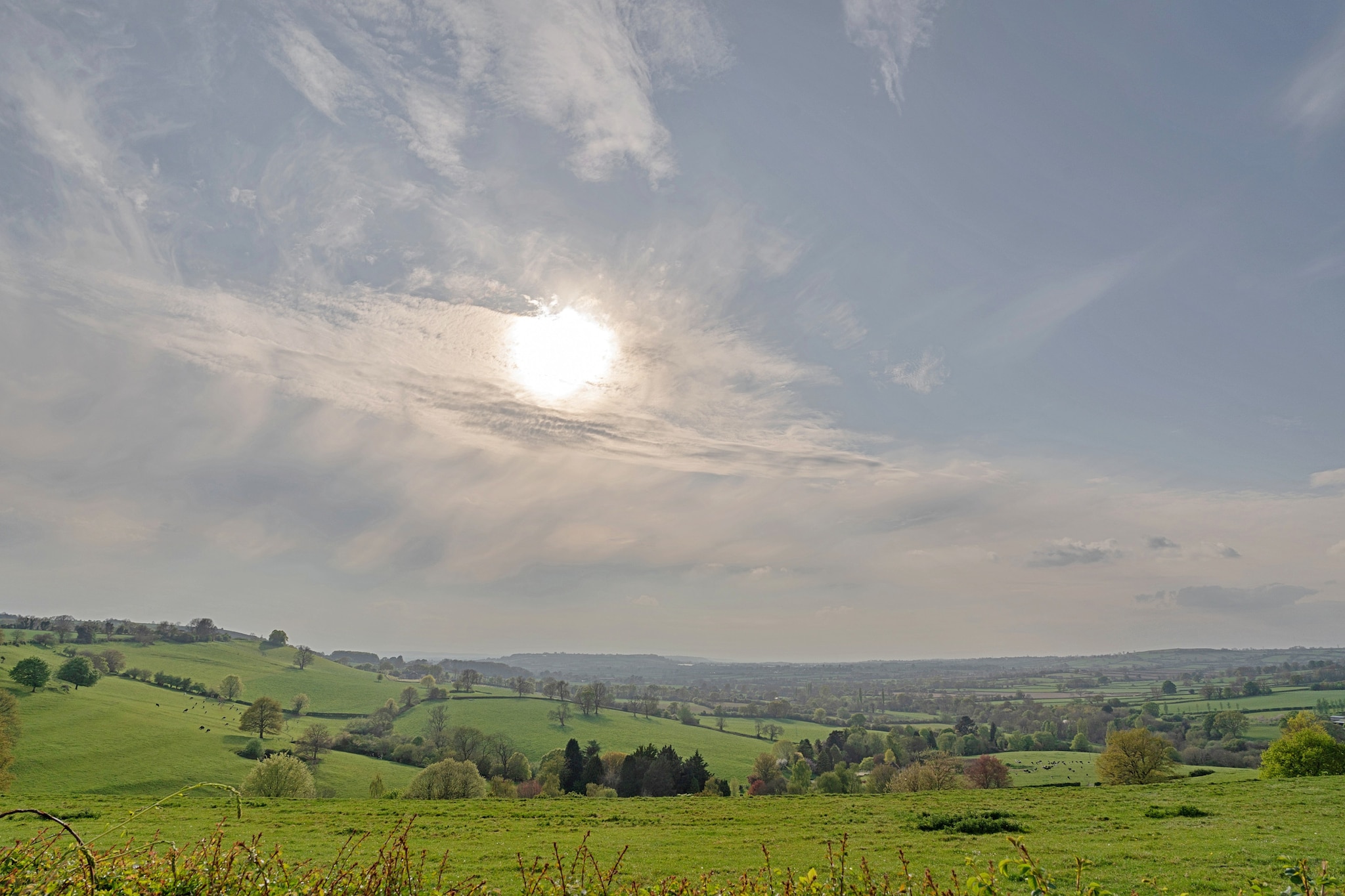 Greenhills Cottage - Areas within 5km in summer