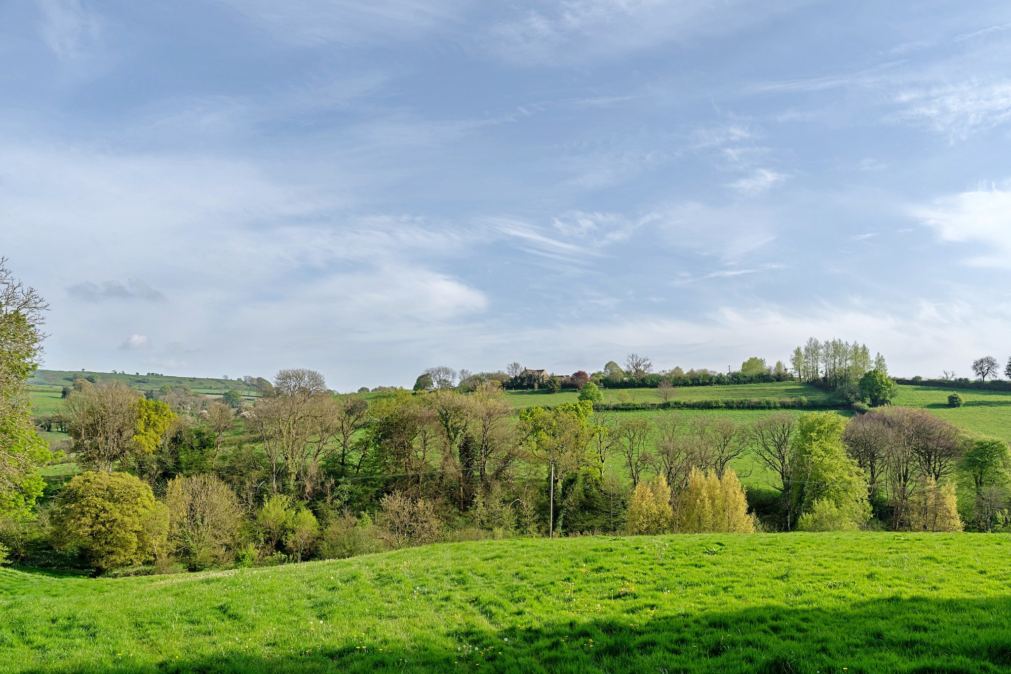 Greenhills Cottage - Areas within 5km in summer