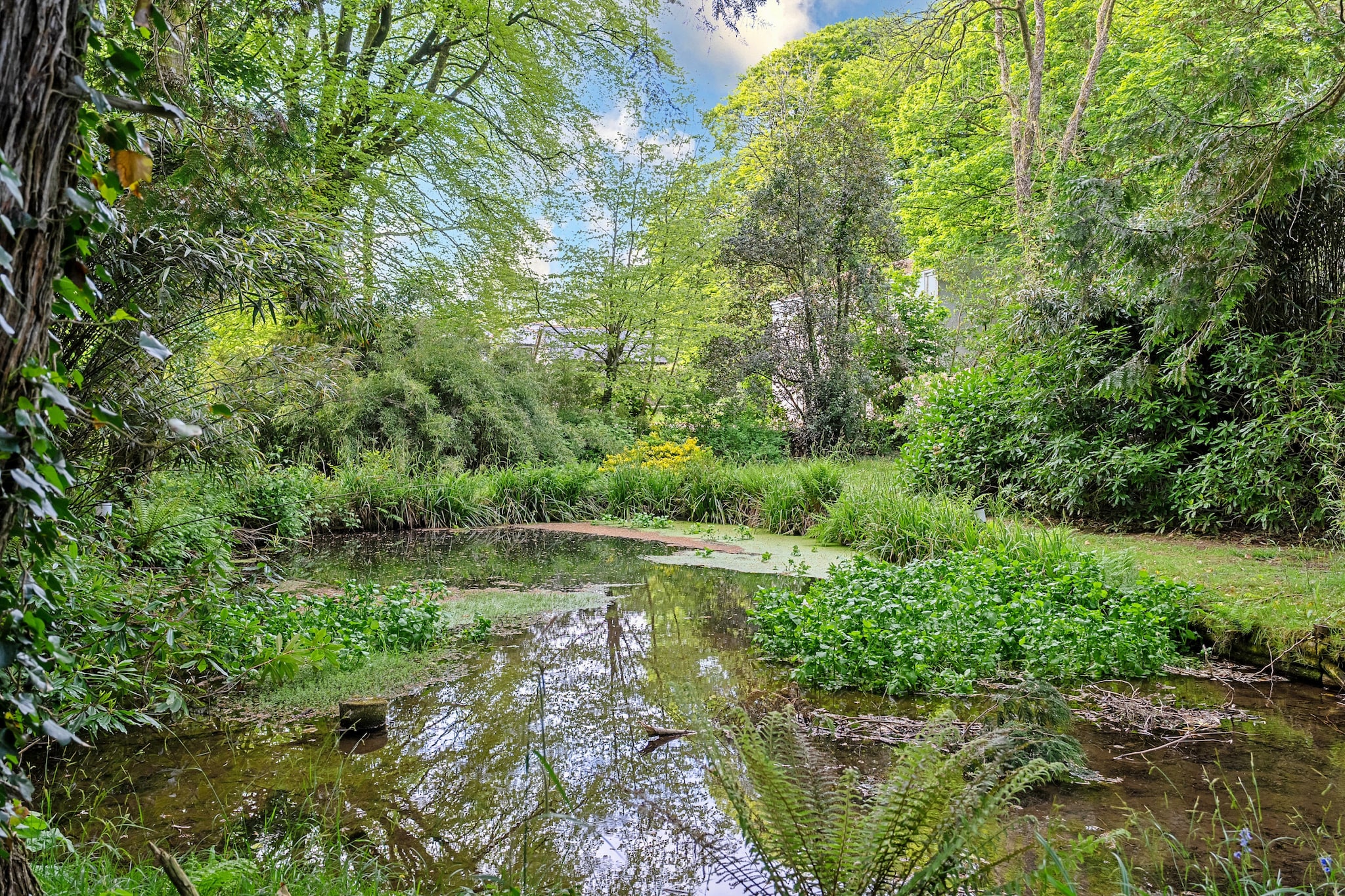 Lanteglos Villa - Gebieden zomer 5km