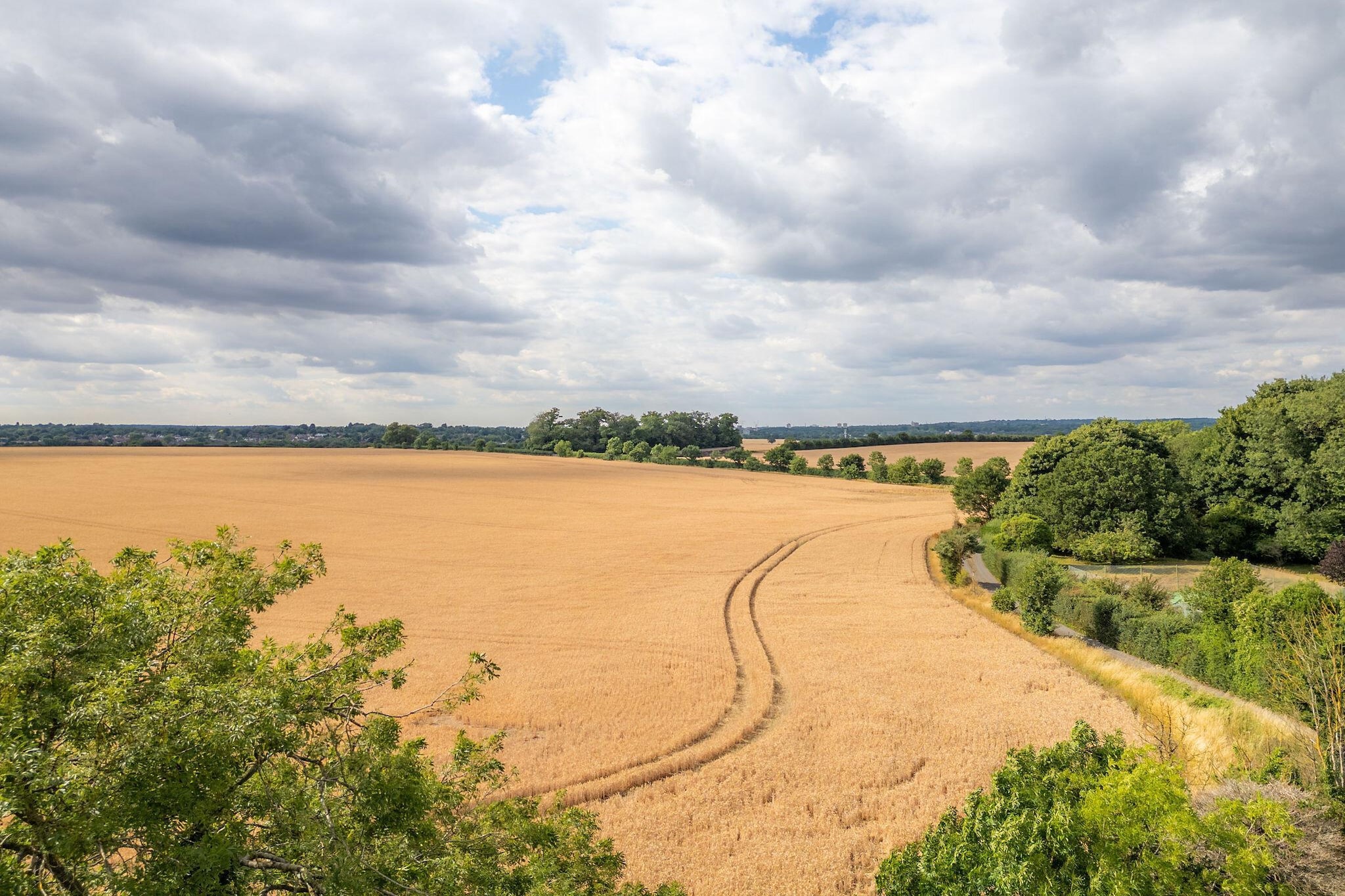 Hollybush Studio - Areas within 1km in summer