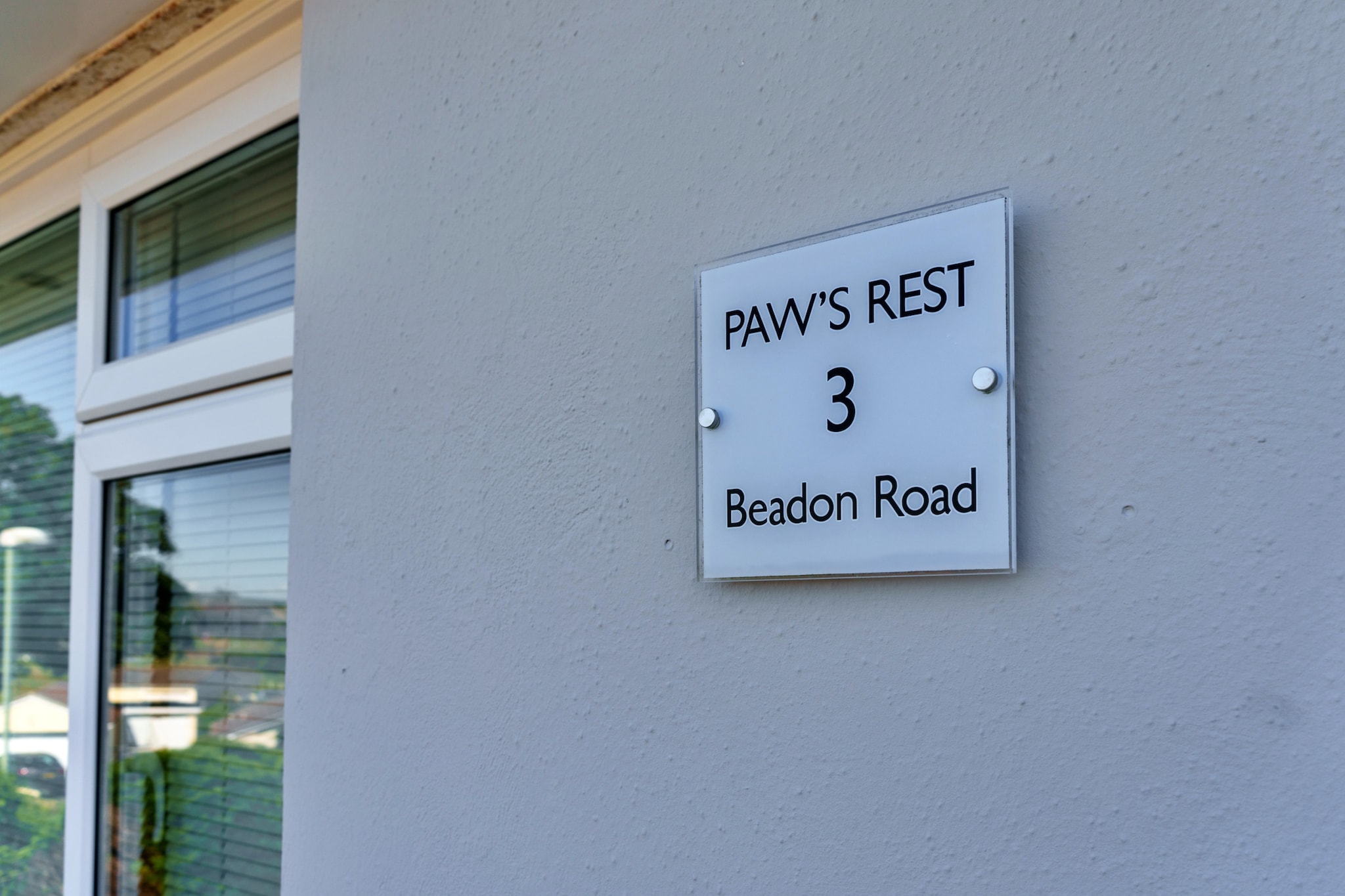Paw's Rest - Ambiente