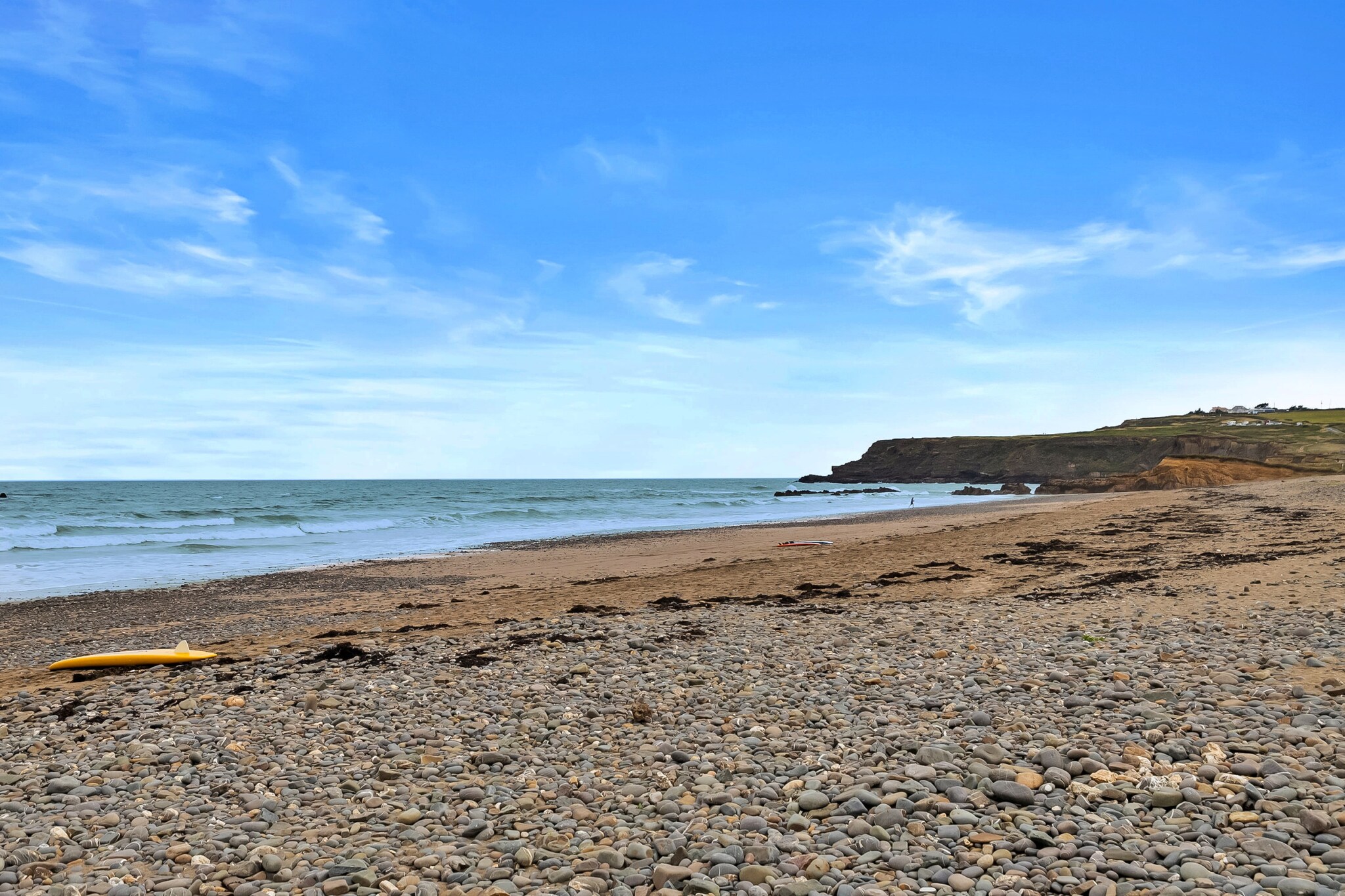Sea Thrift at Widemouth Bay - Gebieden zomer 5km