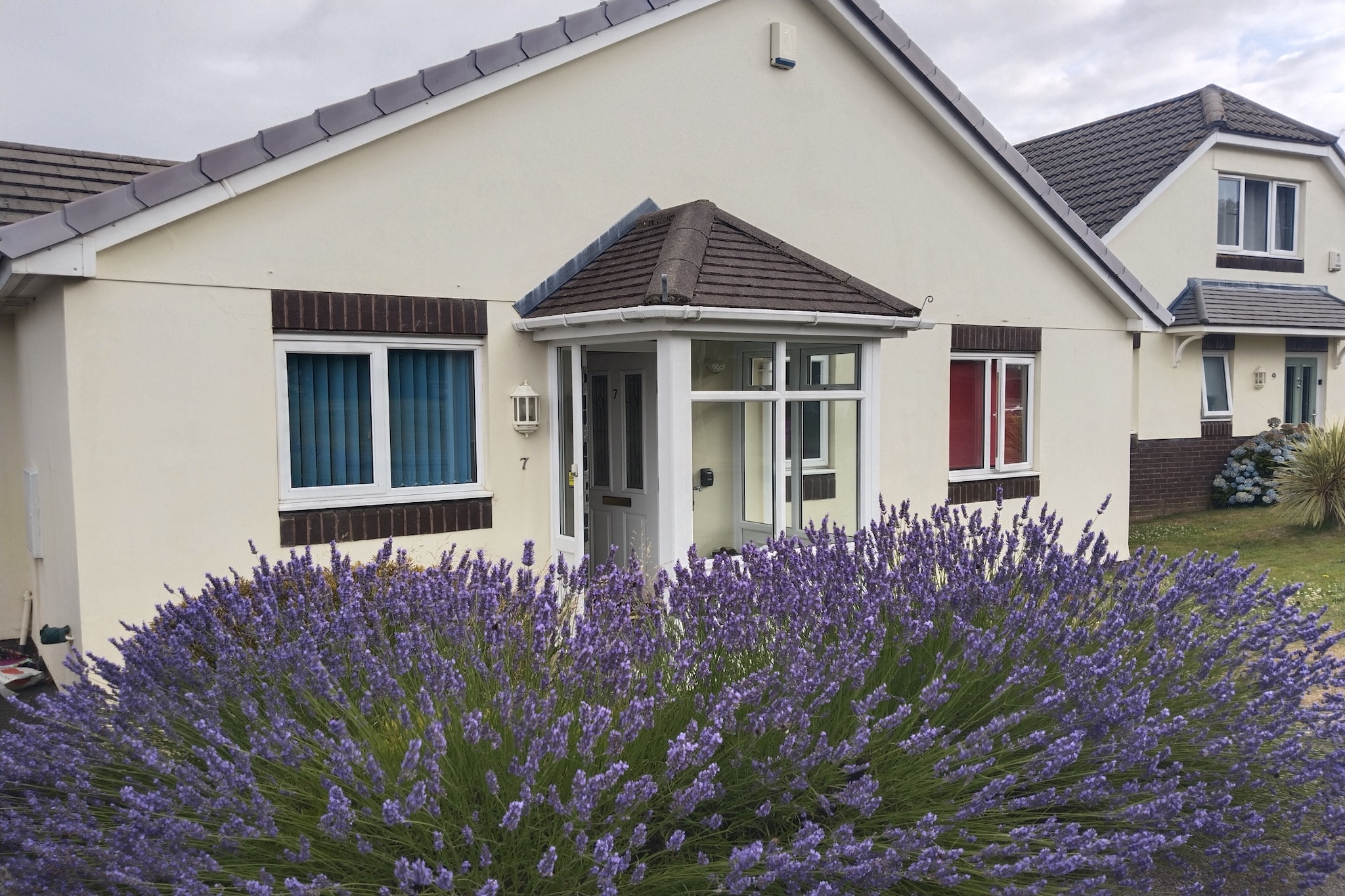 Lavender Waye - Exterior in summer