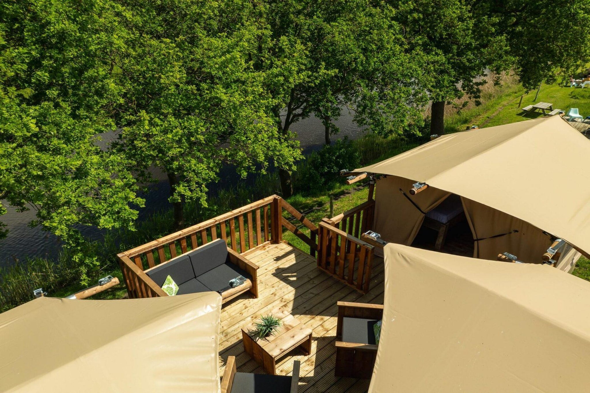 Treehouse tent at the Regge with private sanitary facilities | 6 people - Terrasbalkon