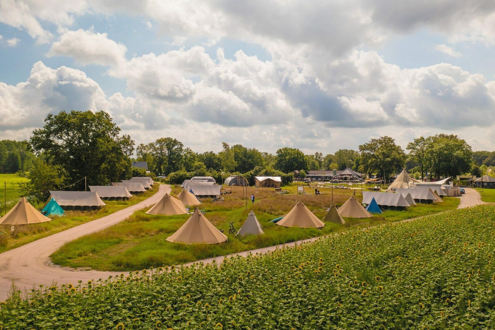 Treehouse tent at the Regge with private sanitary facilities | 6 people - Gebieden zomer 1km