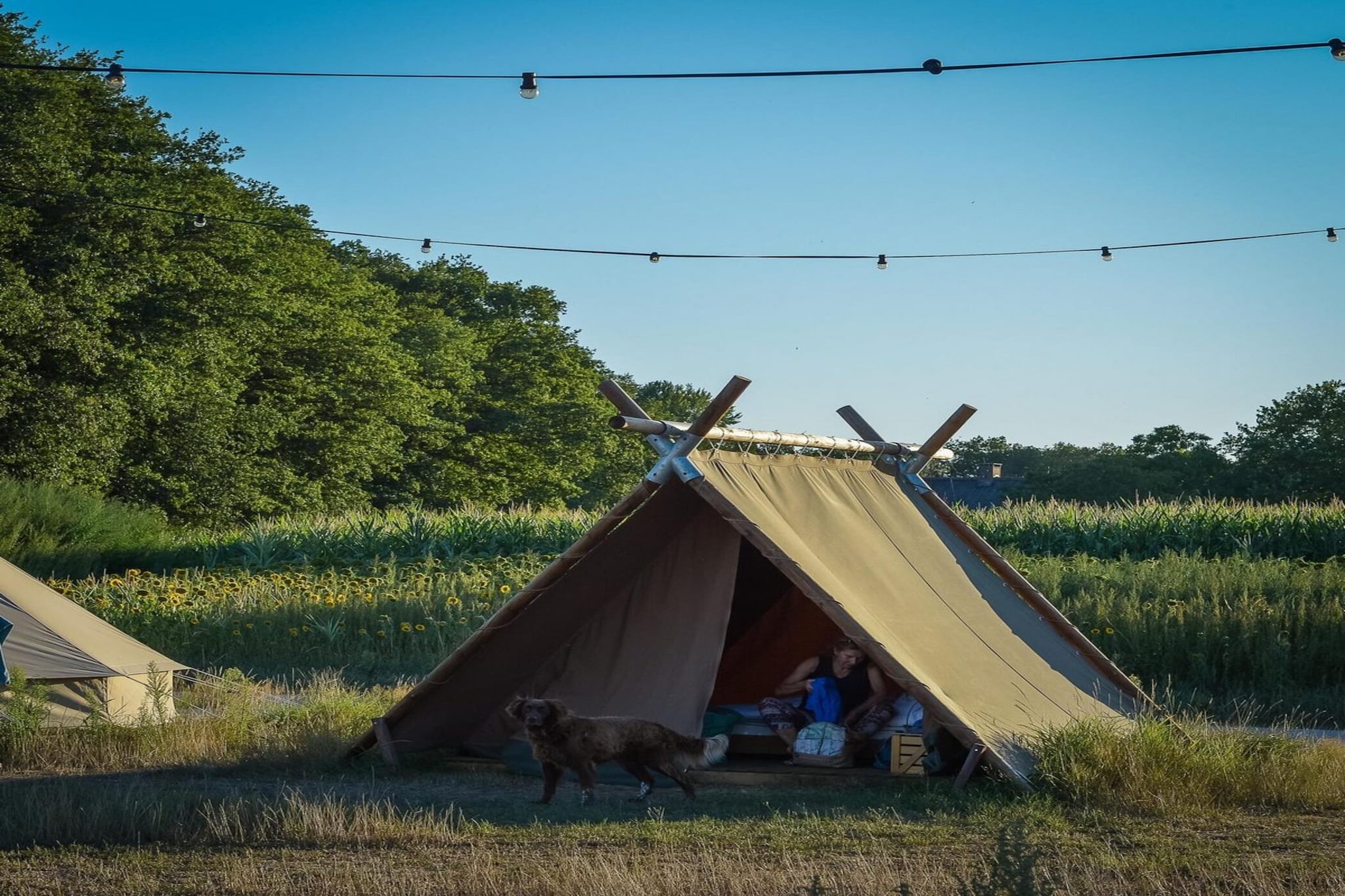 Group accommodation (6x luxury glamping tent) I 32 people - Extérieur été