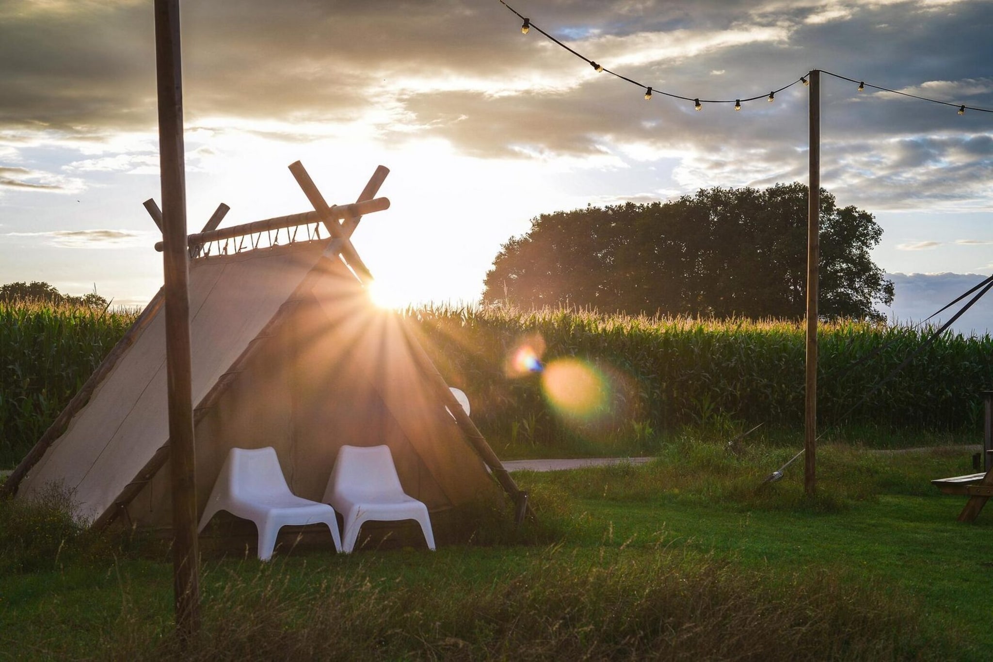Group accommodation (6x luxury glamping tent) I 32 people - Extérieur été