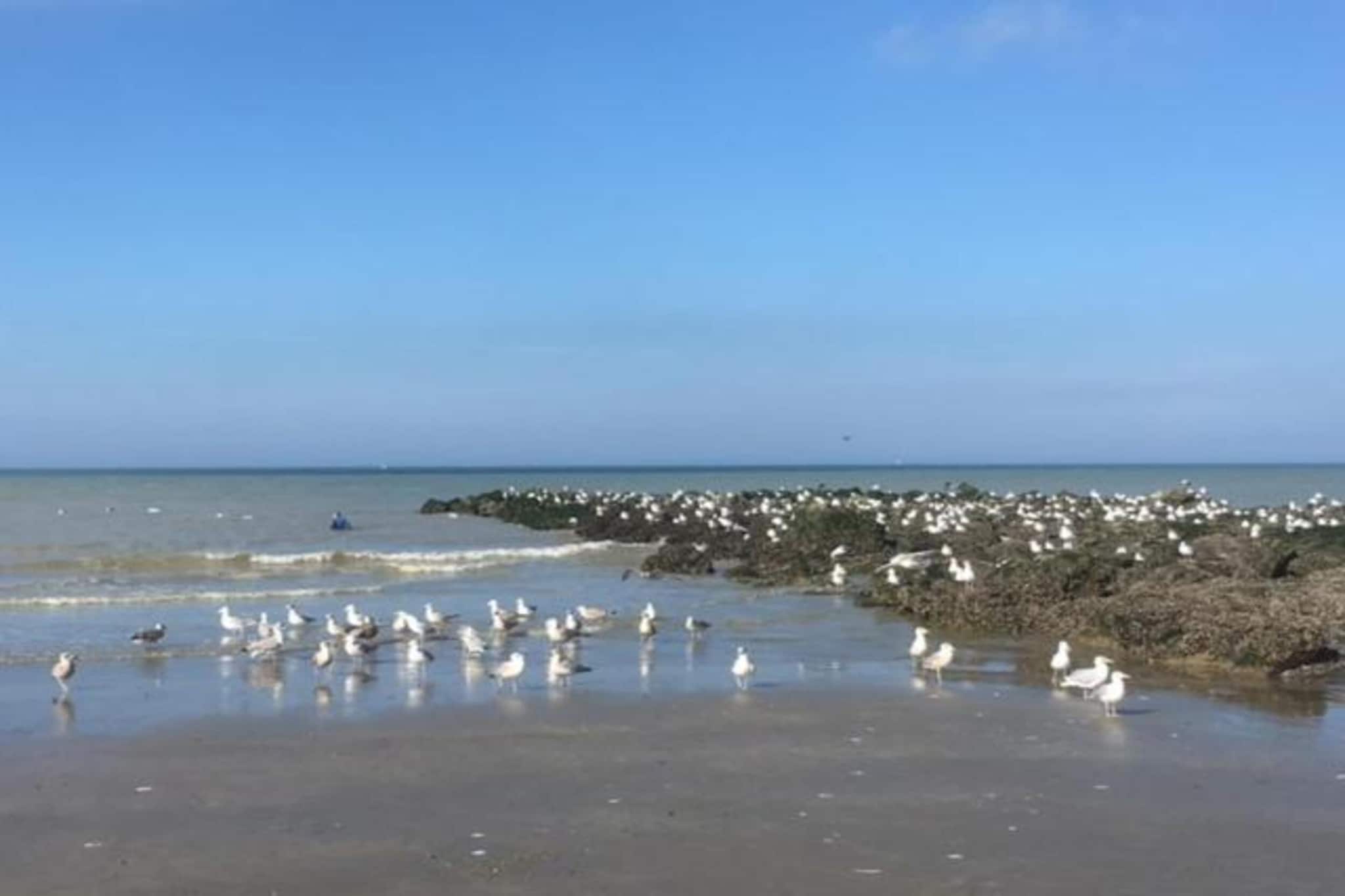Normandie-Gebieden zomer 1km