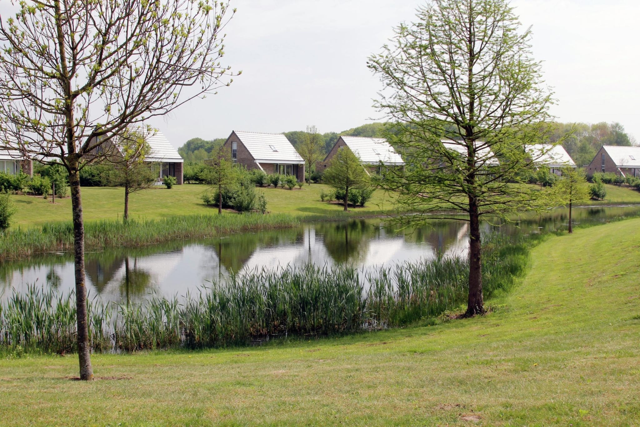 Boswoning-Gebiete Sommer 1 km