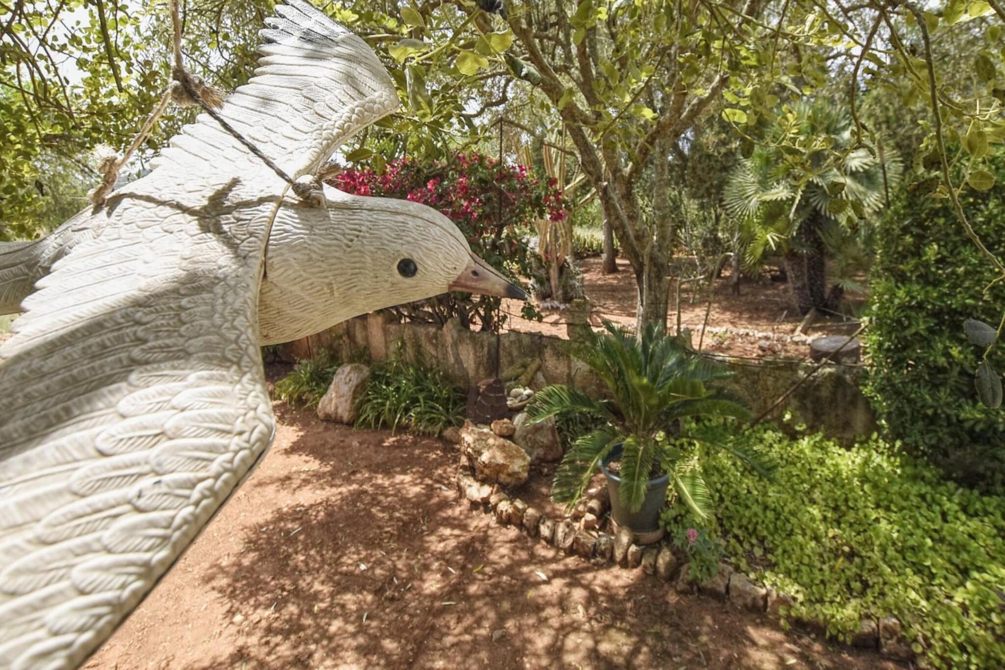 Montserrat-Tuinen zomer