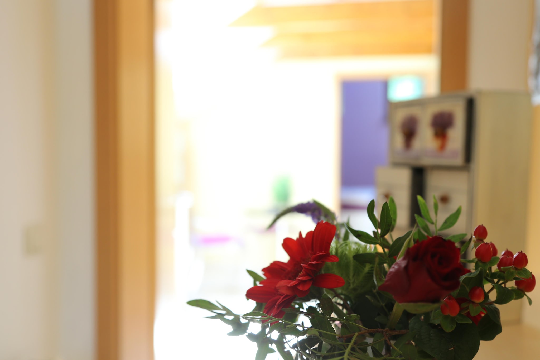 Ferienwohnung Freital - Dresden-Ambiance