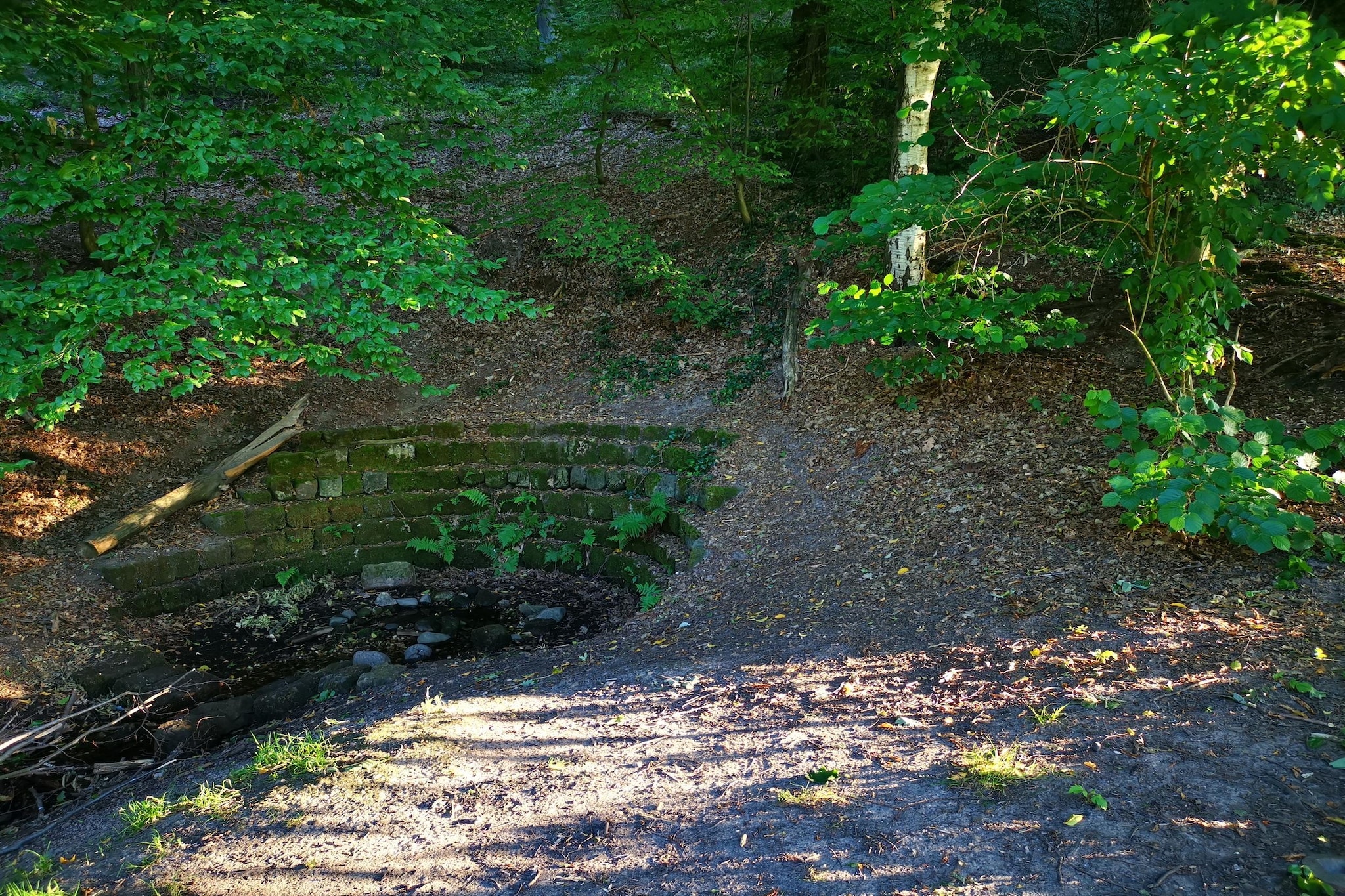Ferienwohnung Freital - Dresden-Areas within 5km in summer