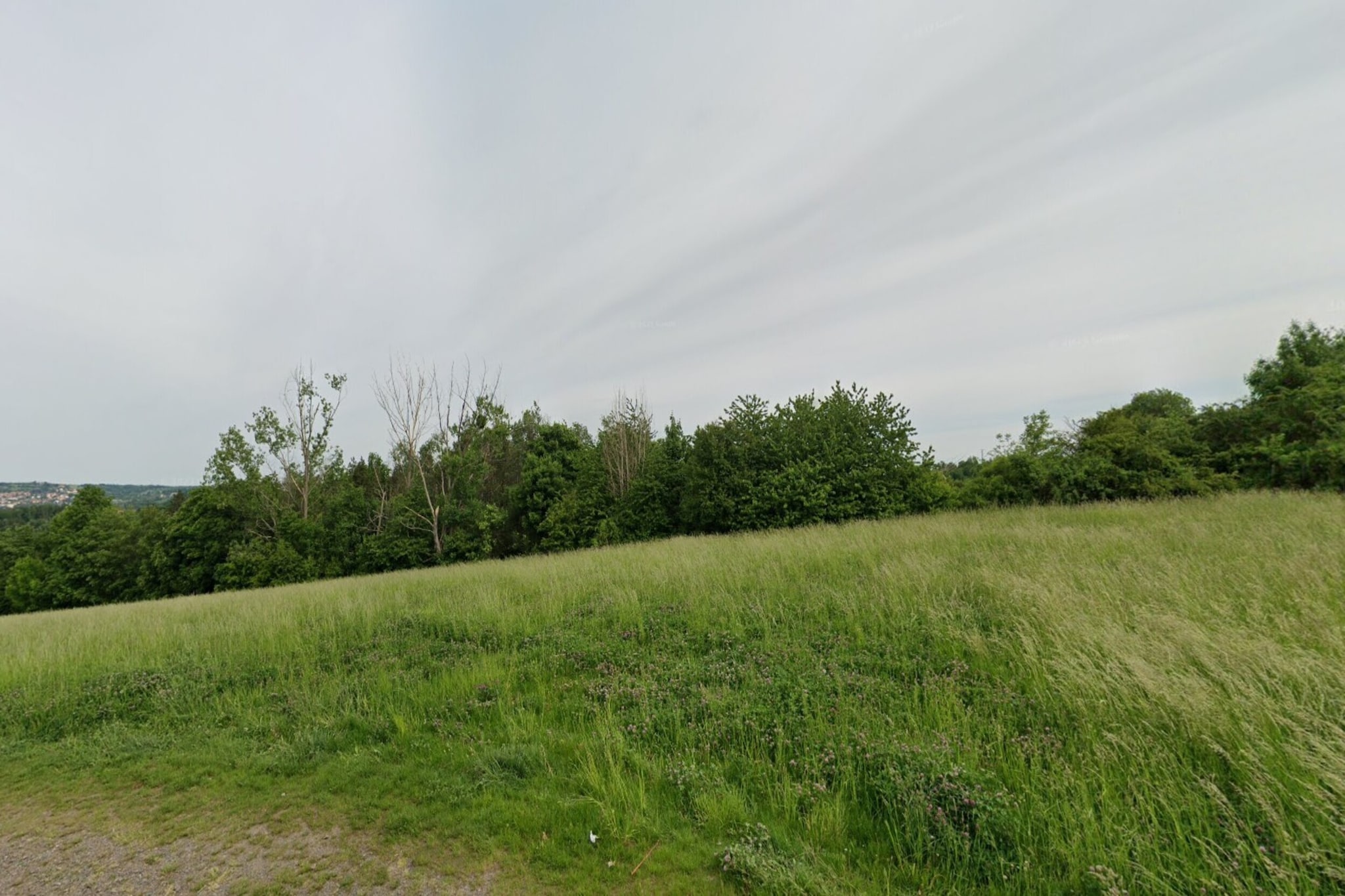 Ferienwohnung Freital - Dresden-Areas within 5km in summer