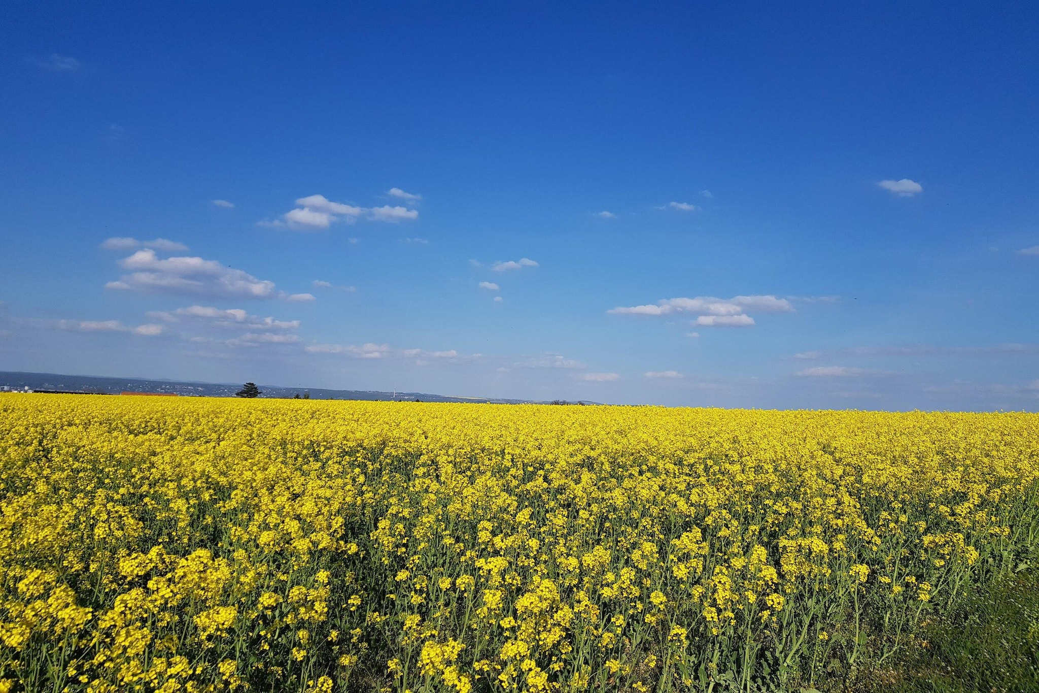 Ferienwohnung Freital - Dresden-Areas within 5km in summer