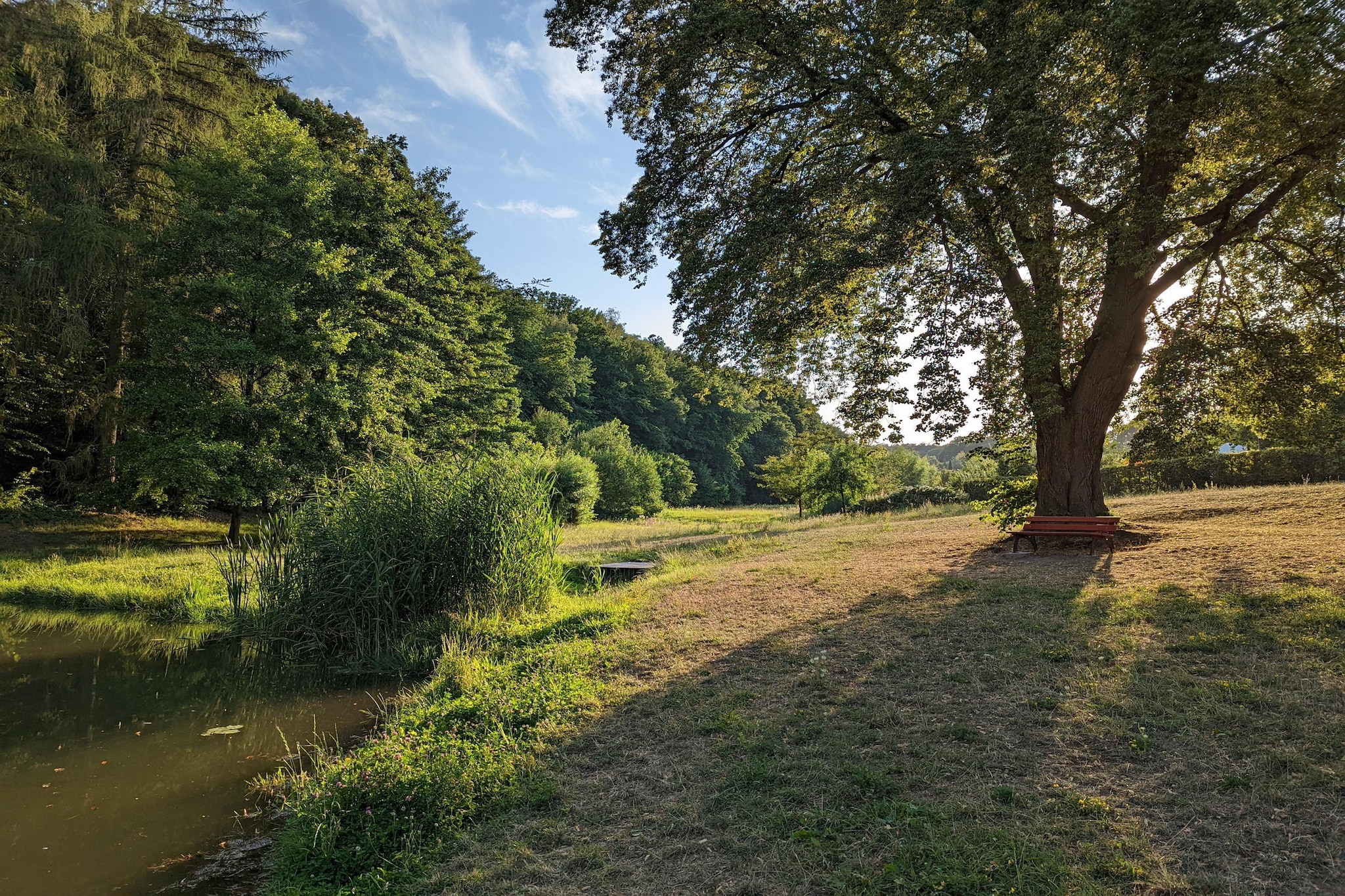 Ferienwohnung Freital - Dresden-Areas within 5km in summer