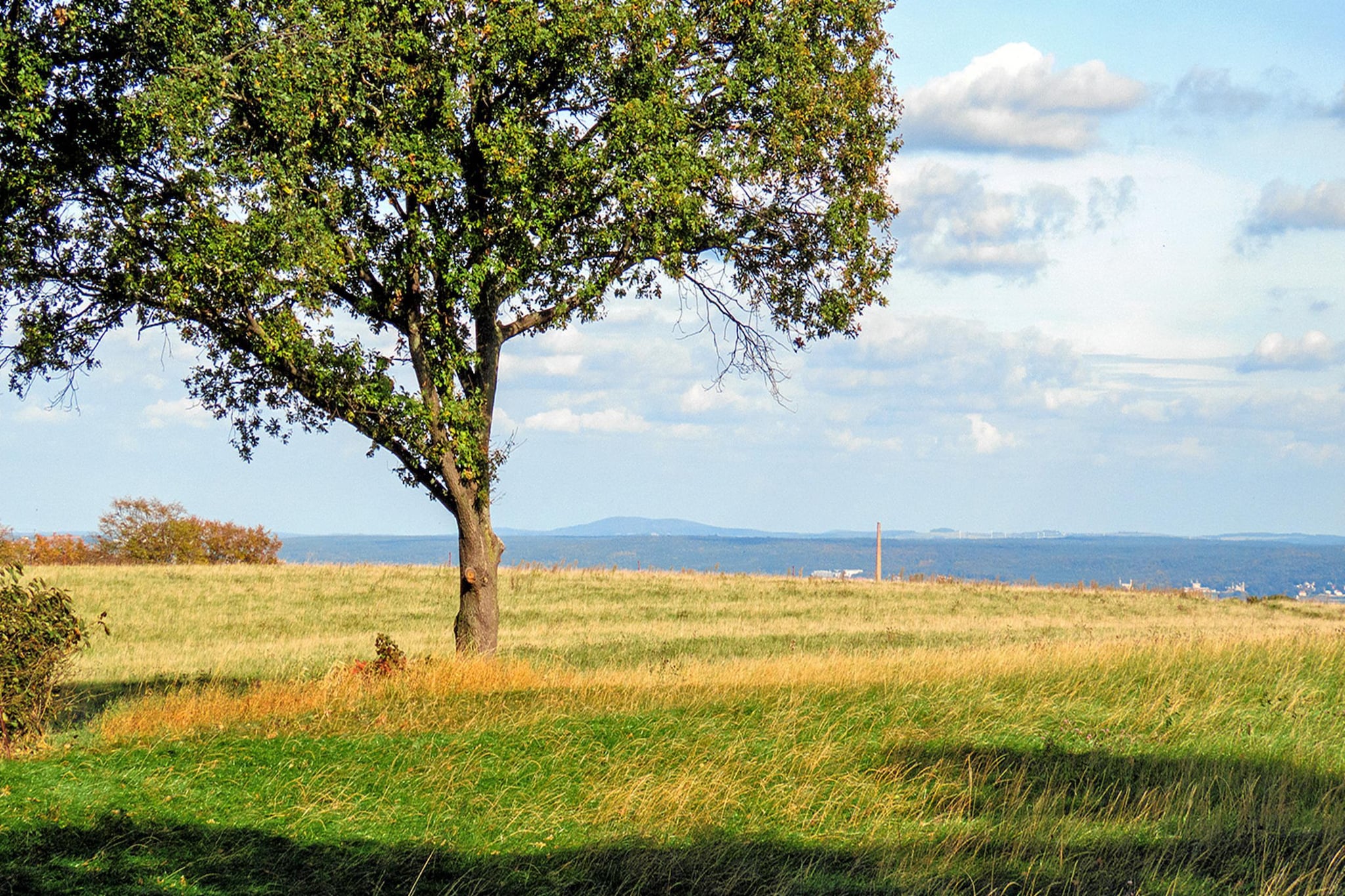 Ferienwohnung Freital - Dresden-Areas within 5km in summer
