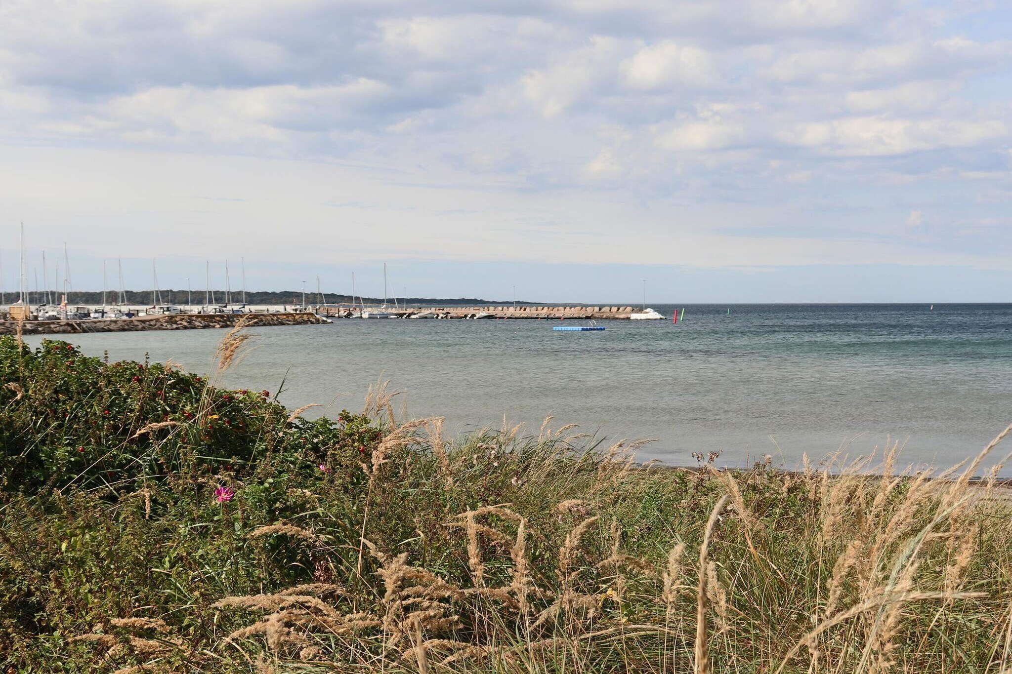 5 star holiday home in Torekov-Untagged