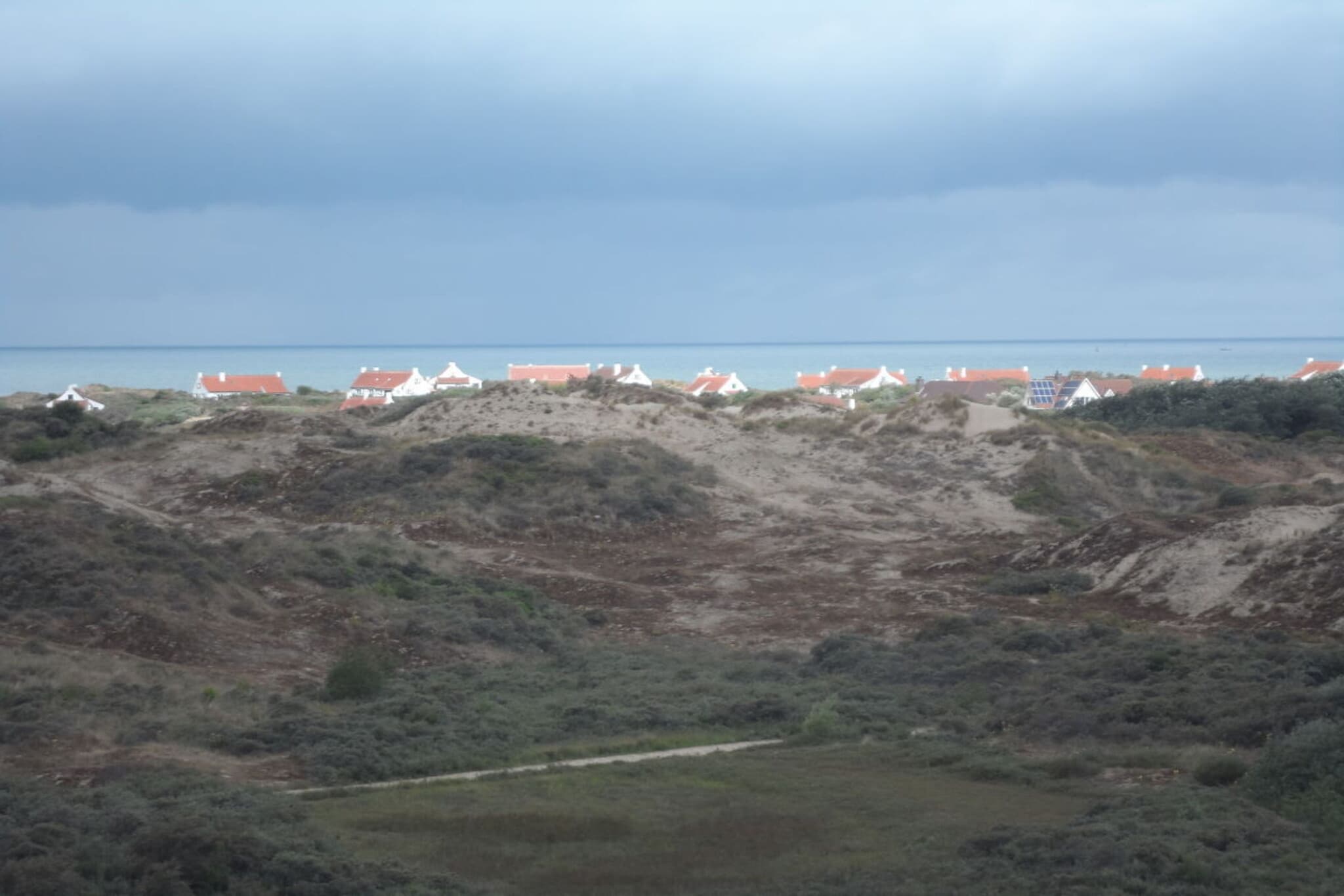 186075-Gebieden zomer 5km