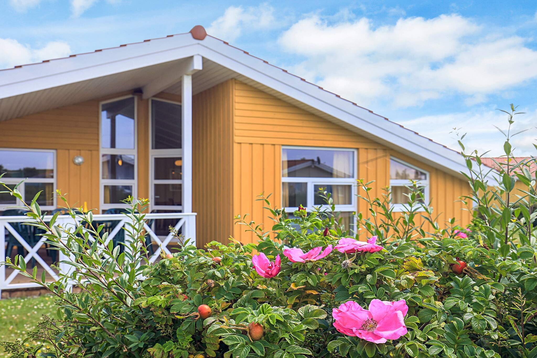 4 etoiles maison de vacances a FRIEDRICHKOOG-Extérieur