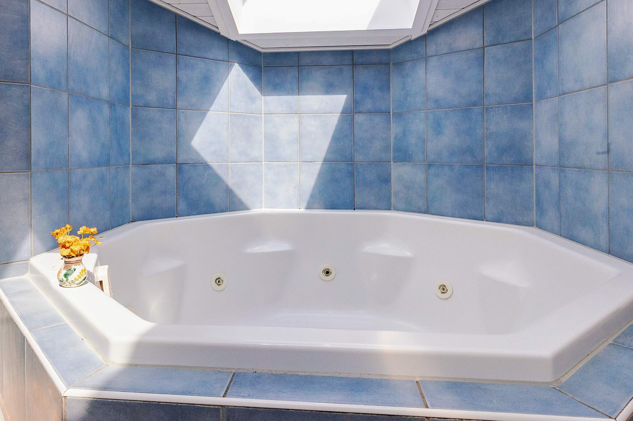 4 etoiles maison de vacances a FRIEDRICHKOOG-Intérieur