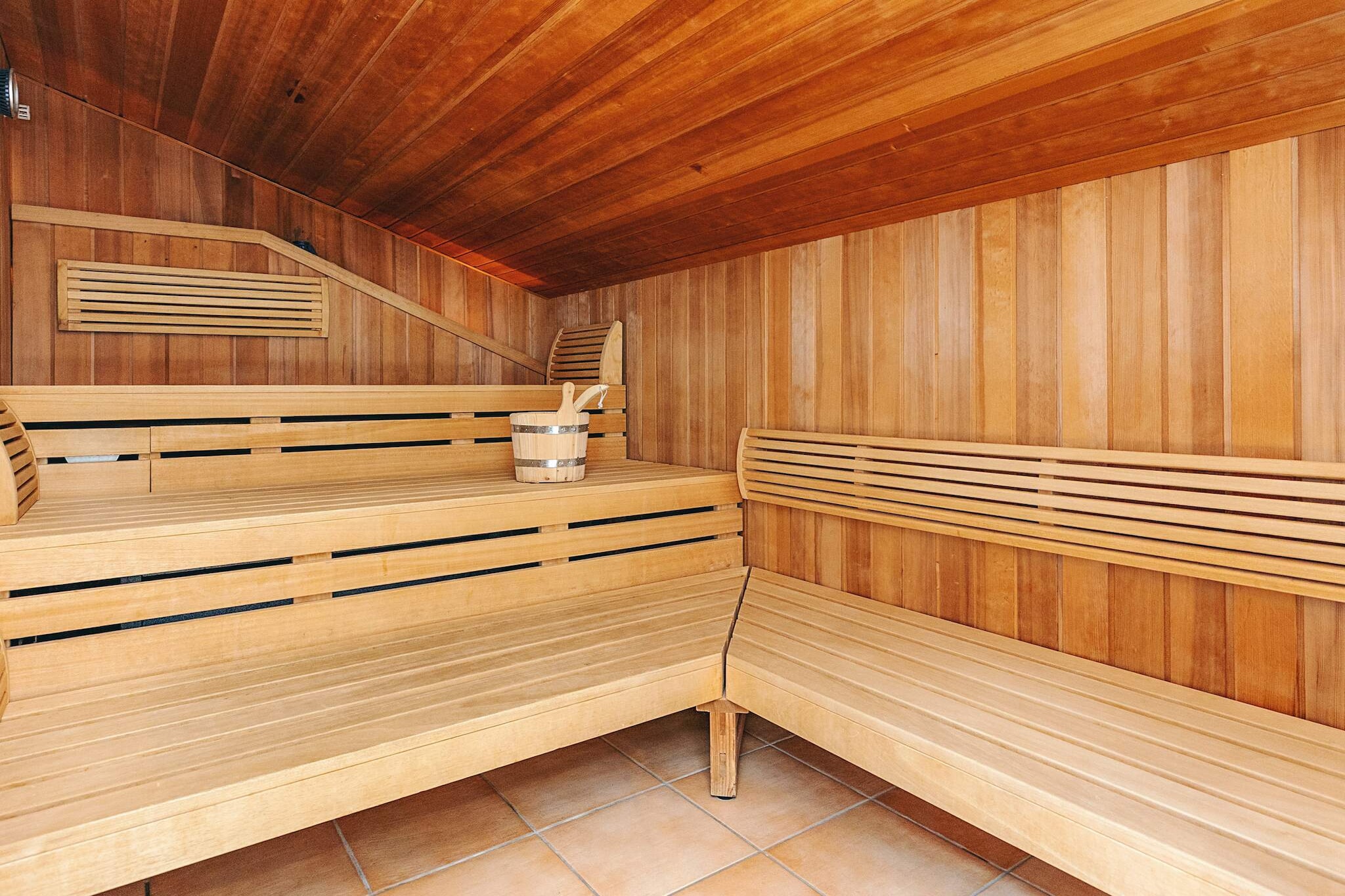 4 etoiles maison de vacances a FRIEDRICHKOOG-Sauna